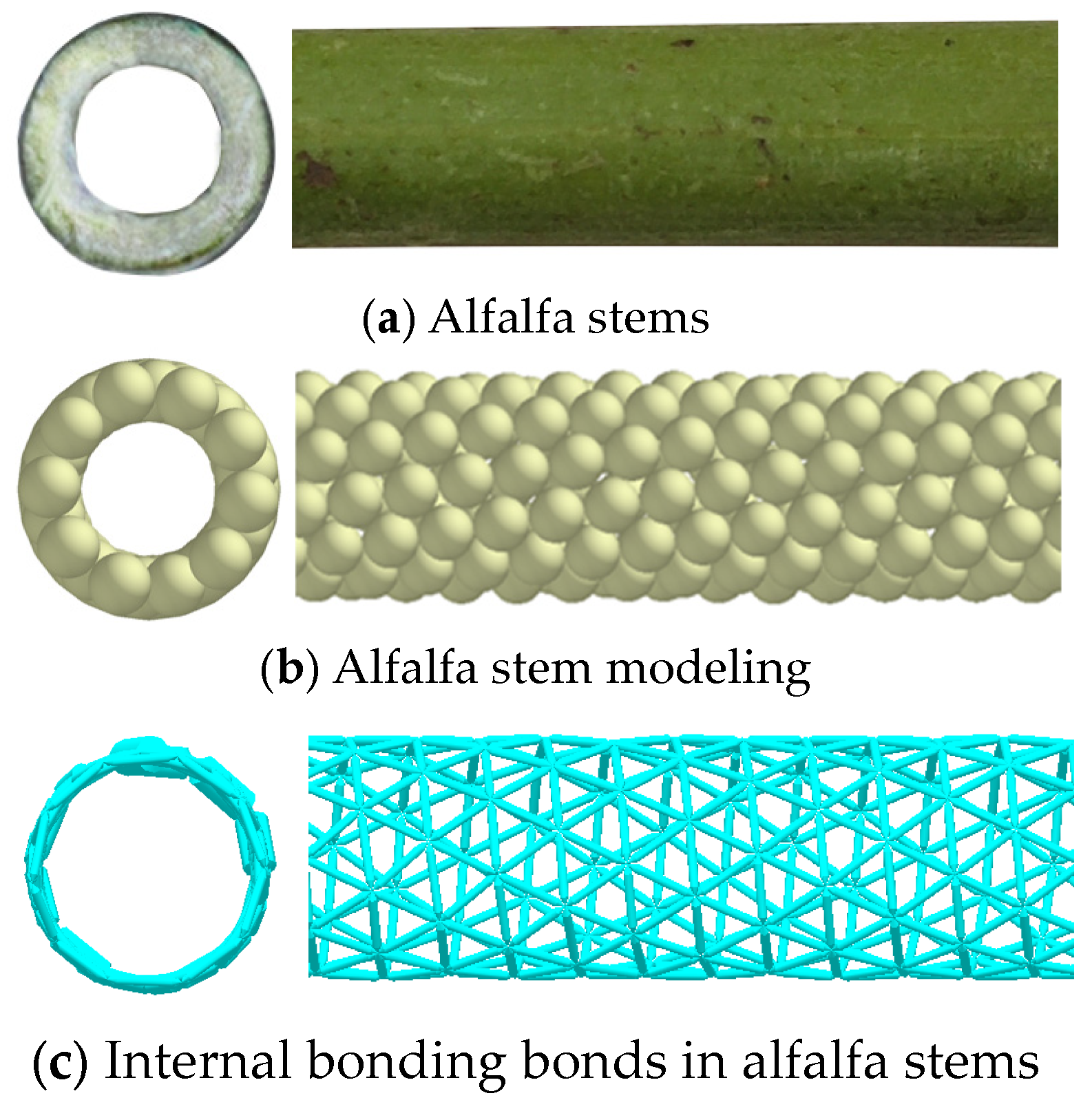 Agriculture 15 00922 g011