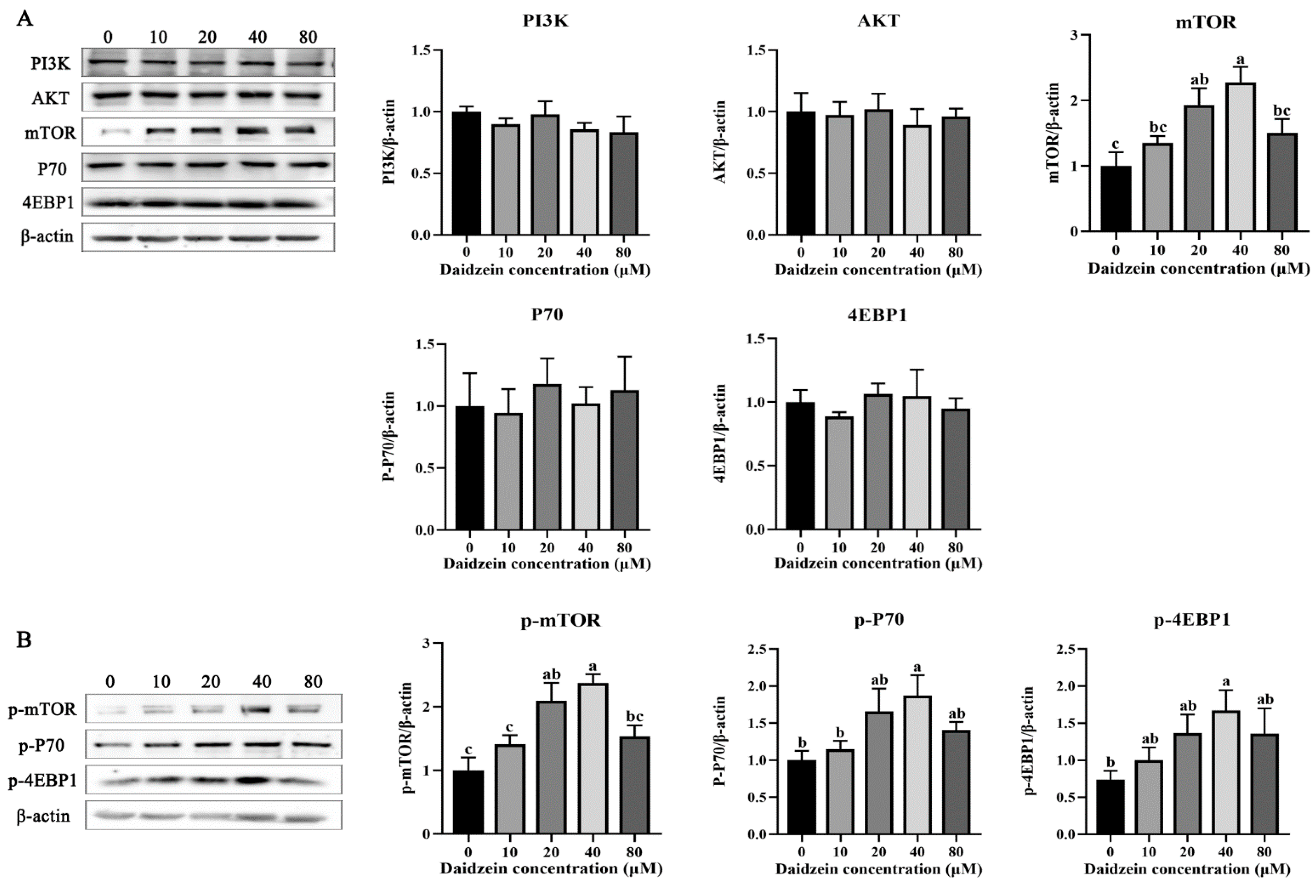 Tiere und ihre Nahrung ペーターピール Effects of Several Chemicals on the Migration Behavior of