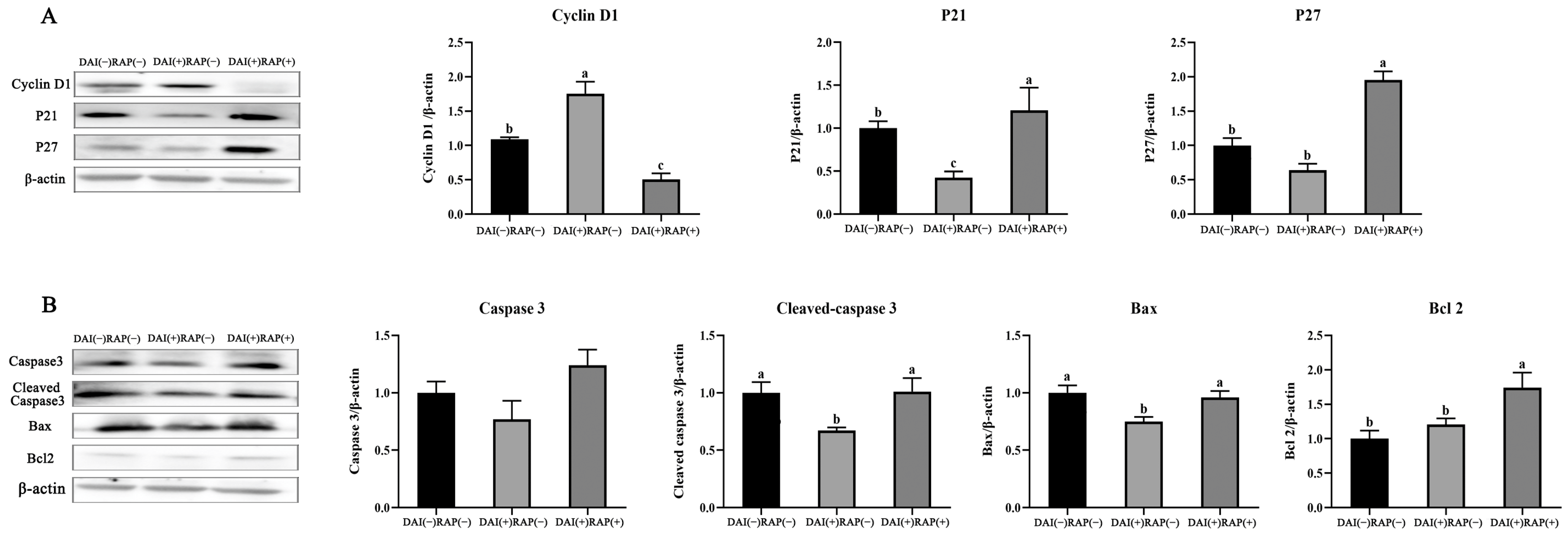 Agriculture 15 00930 g006