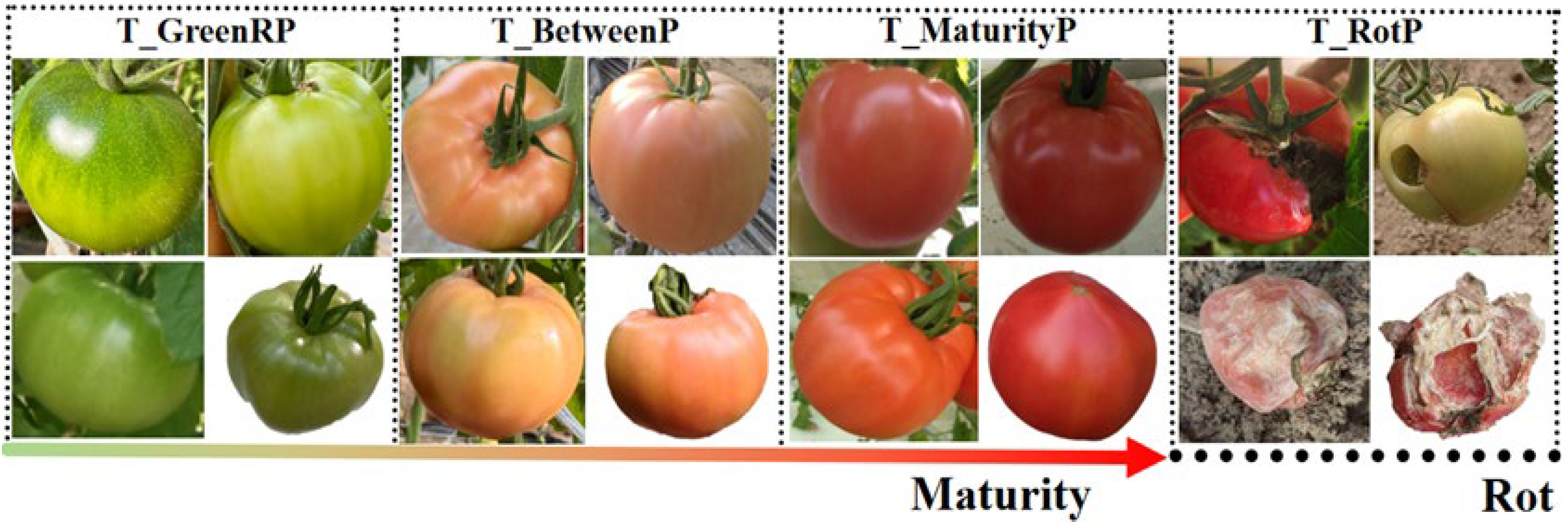 Agriculture 15 00936 g003