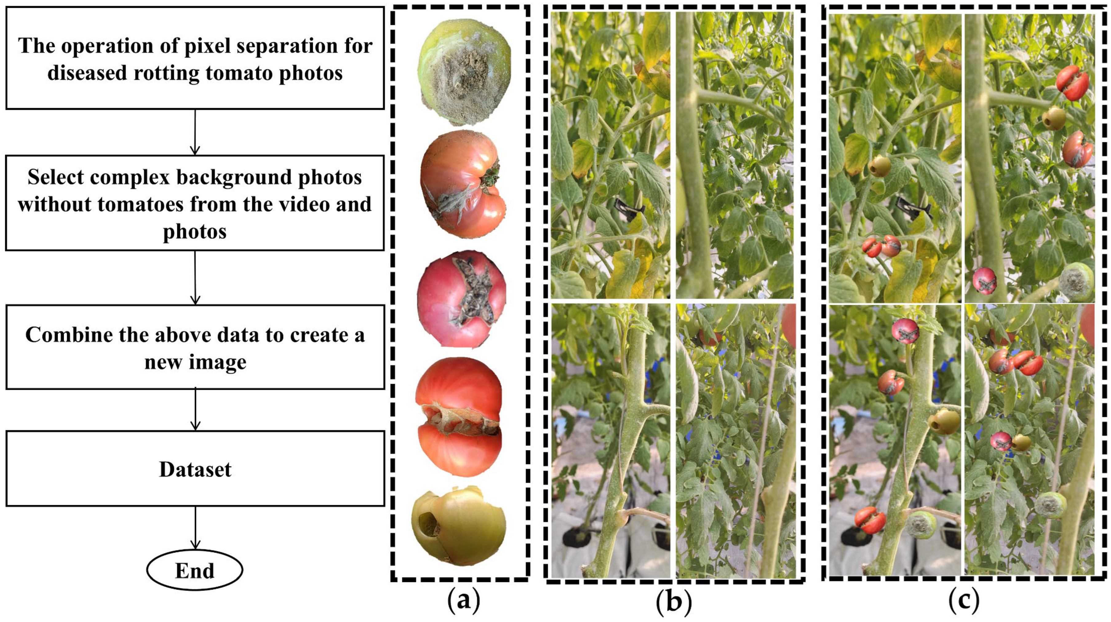 Agriculture 15 00936 g004