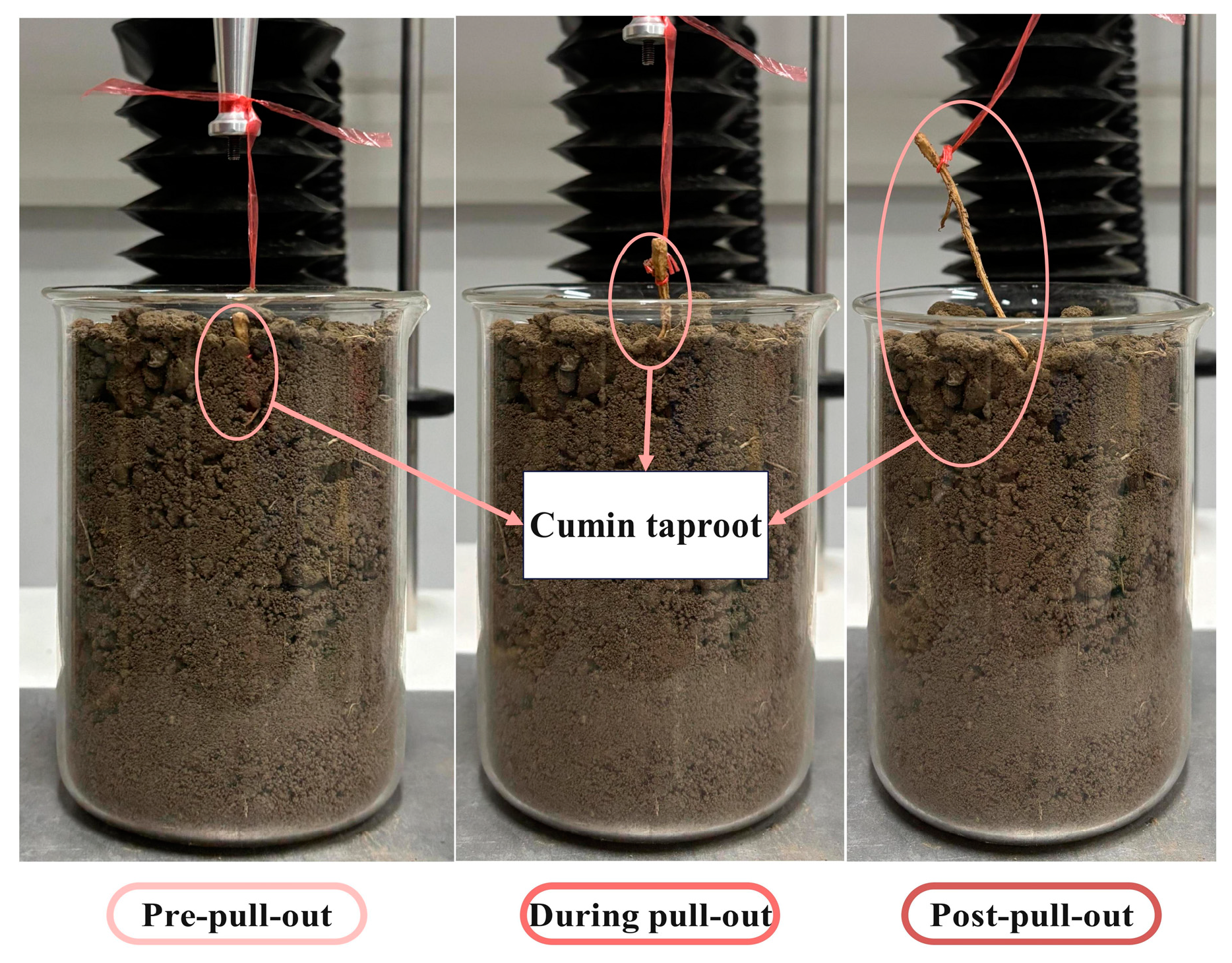 Agriculture 15 00940 g008
