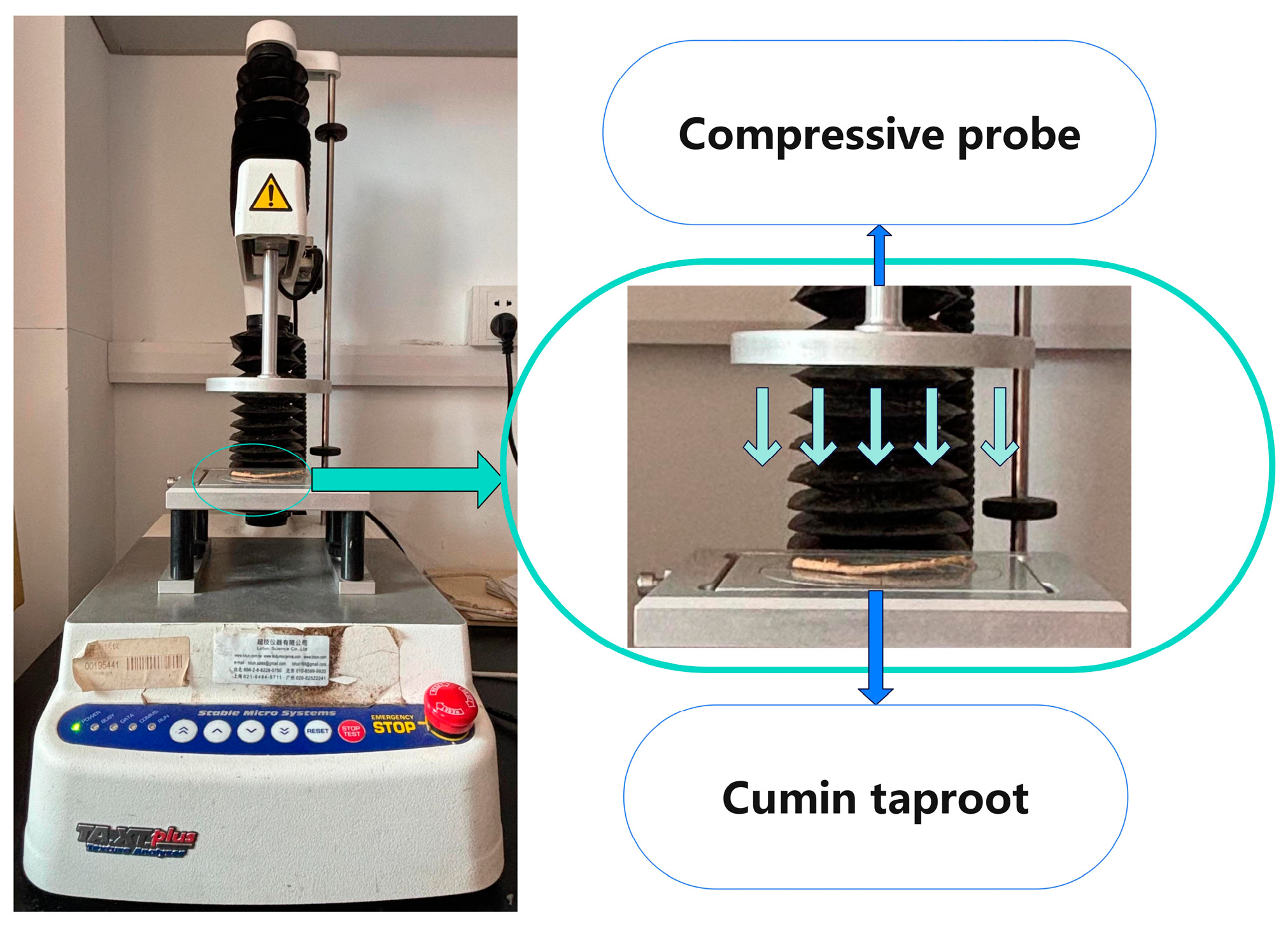 Agriculture 15 00940 g012