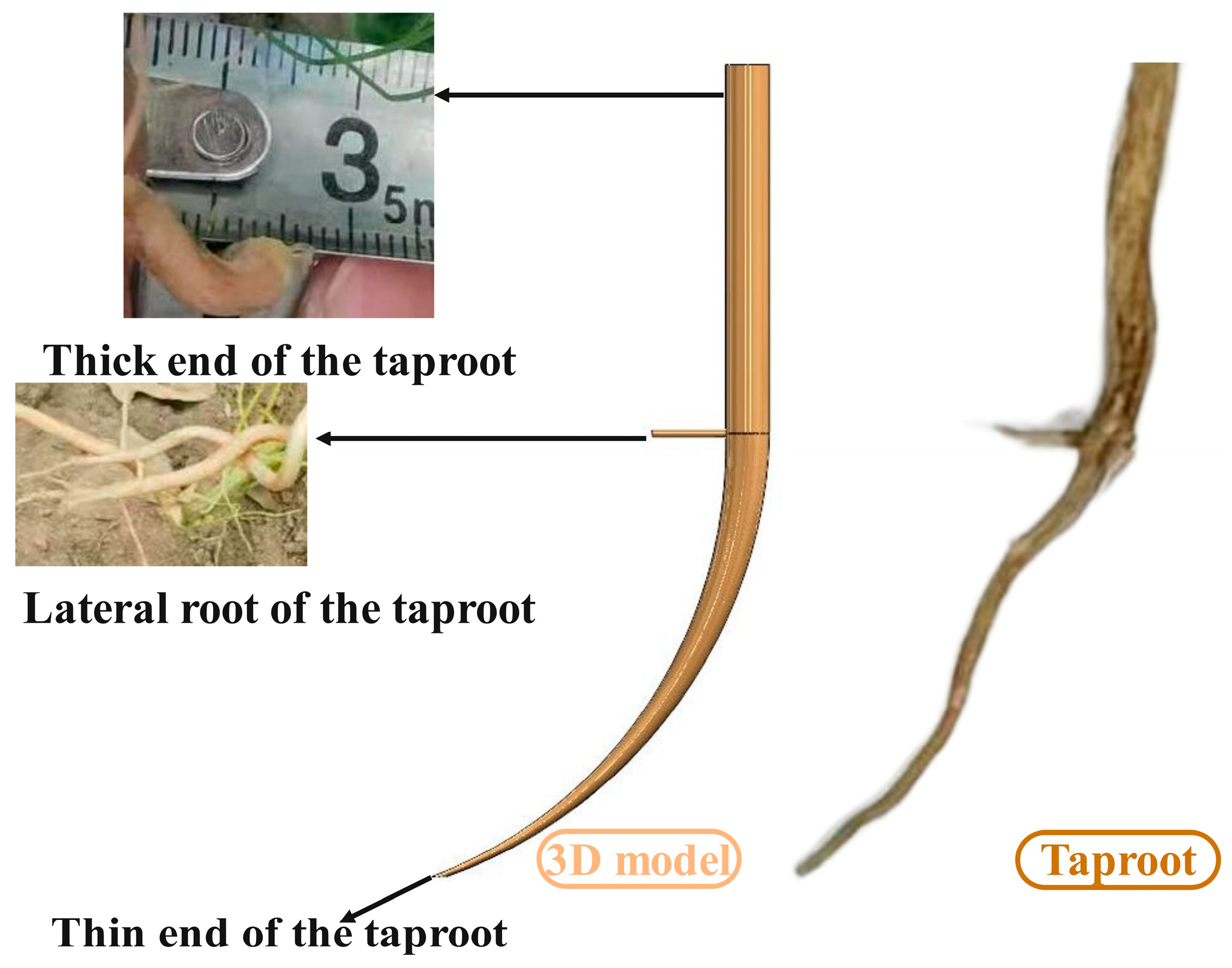 Agriculture 15 00940 g018