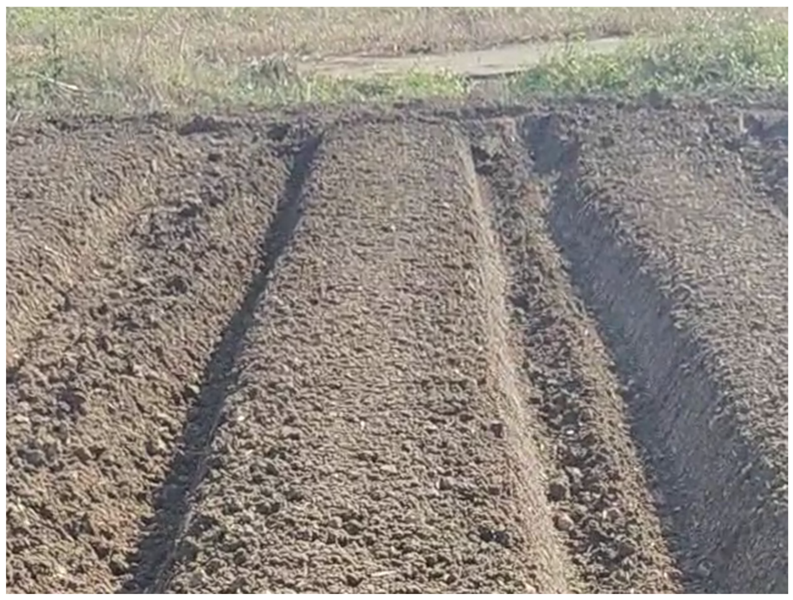 Agriculture 15 00942 g001