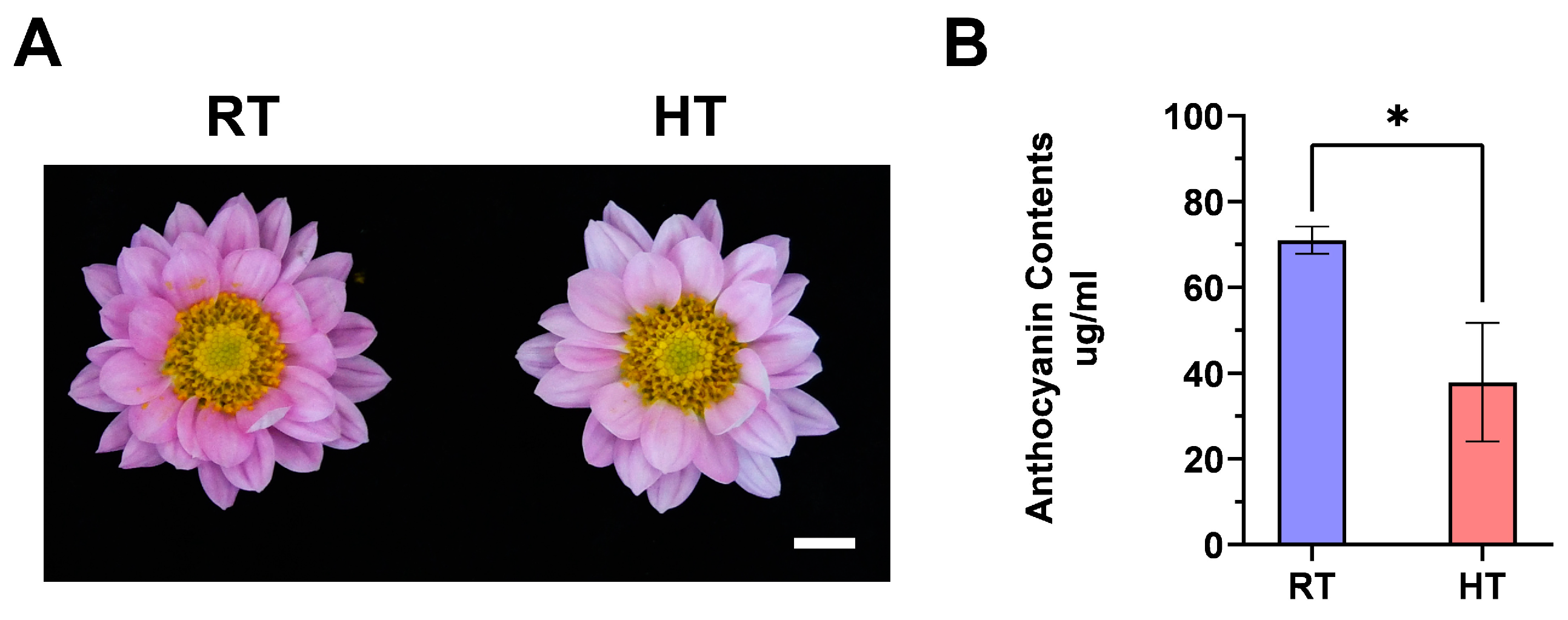 Agriculture 15 00950 g001