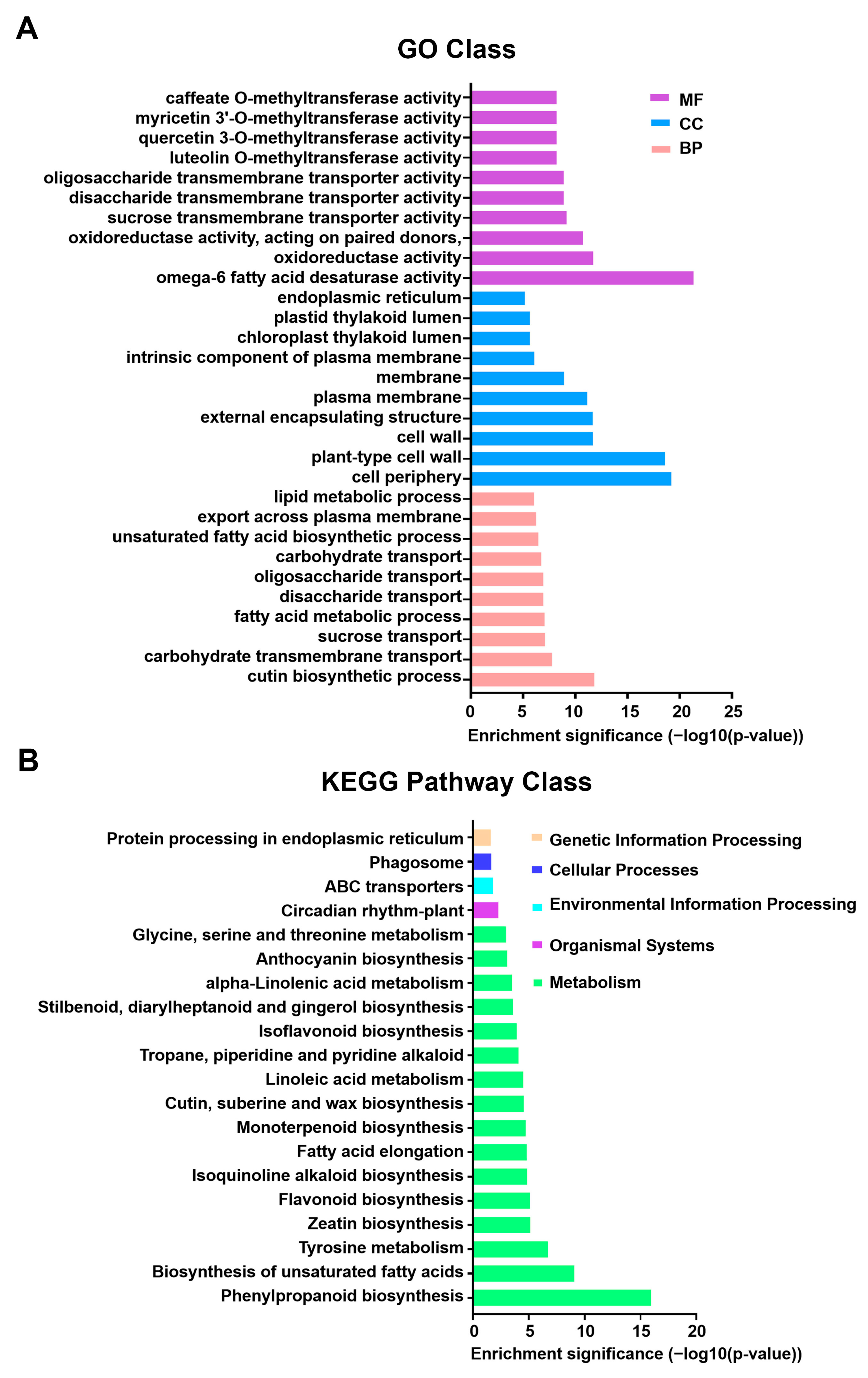 Agriculture 15 00950 g003