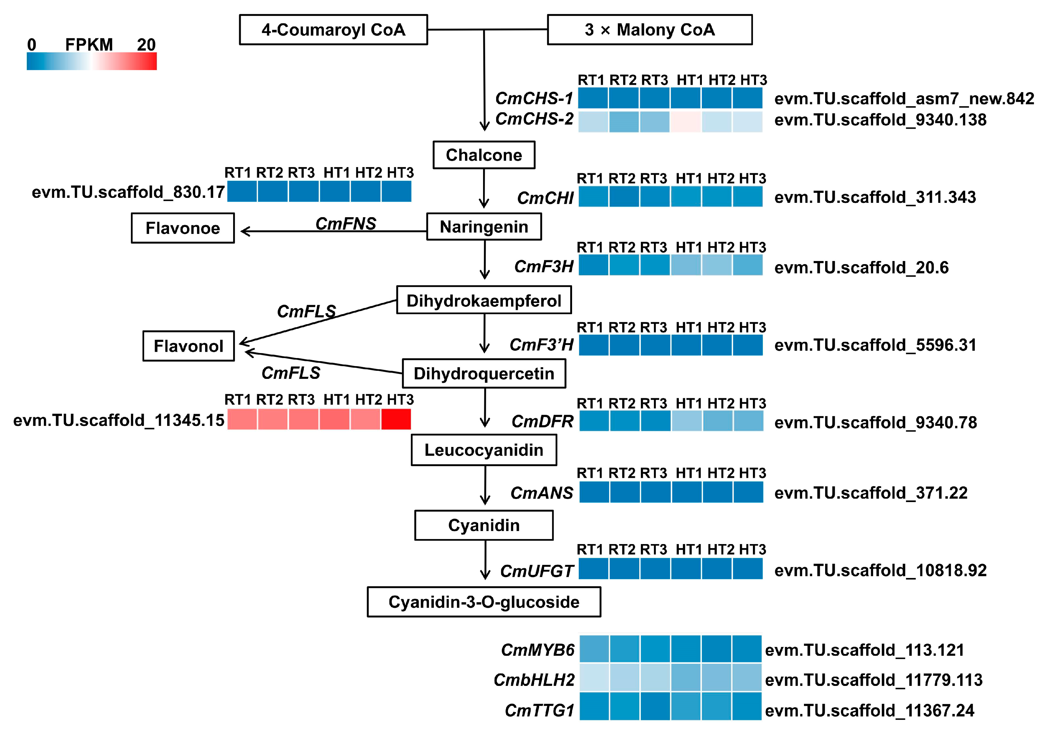 Agriculture 15 00950 g007