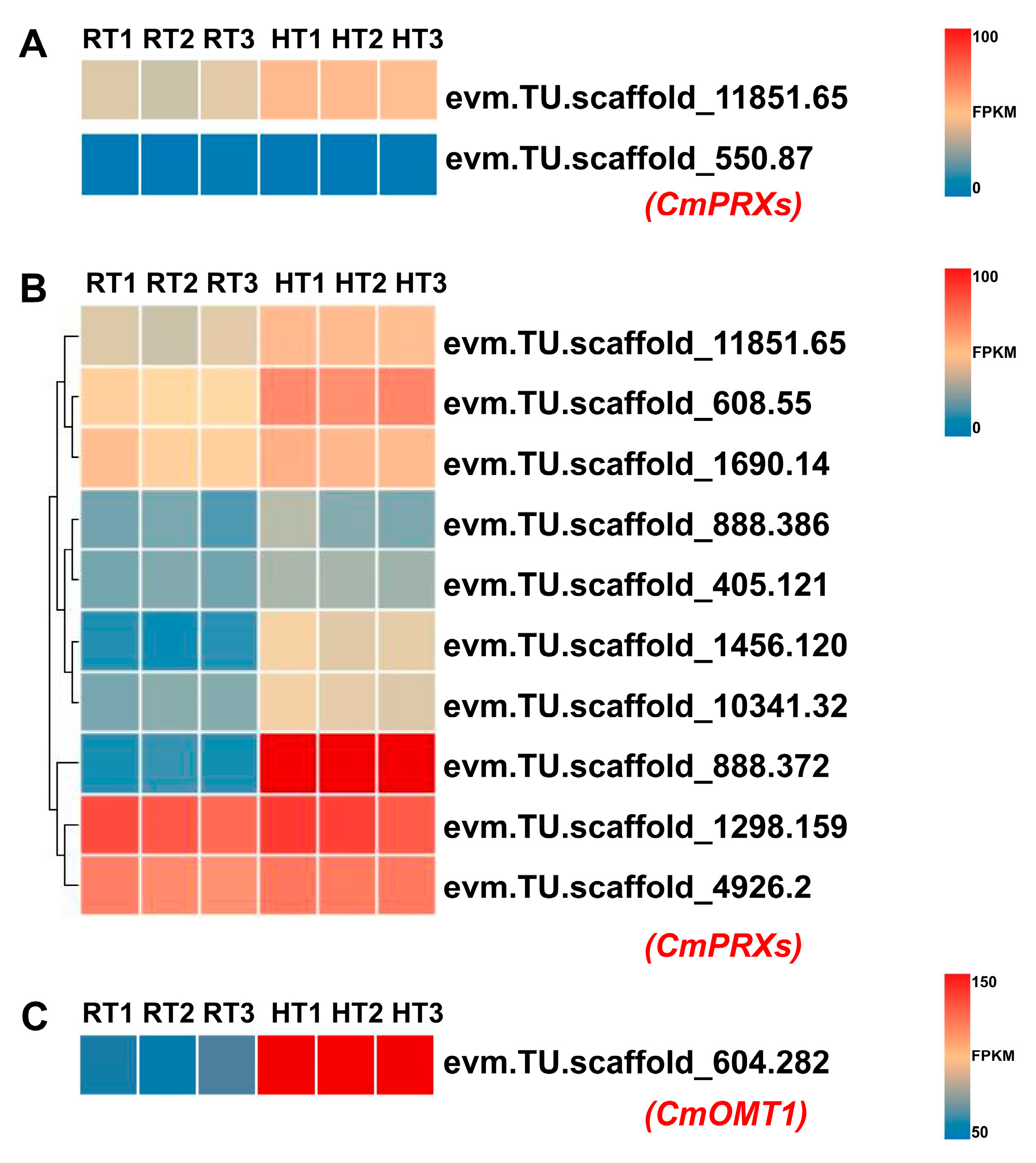 Agriculture 15 00950 g008