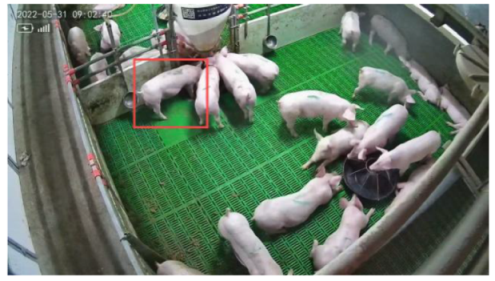 Agriculture 15 00968 i001