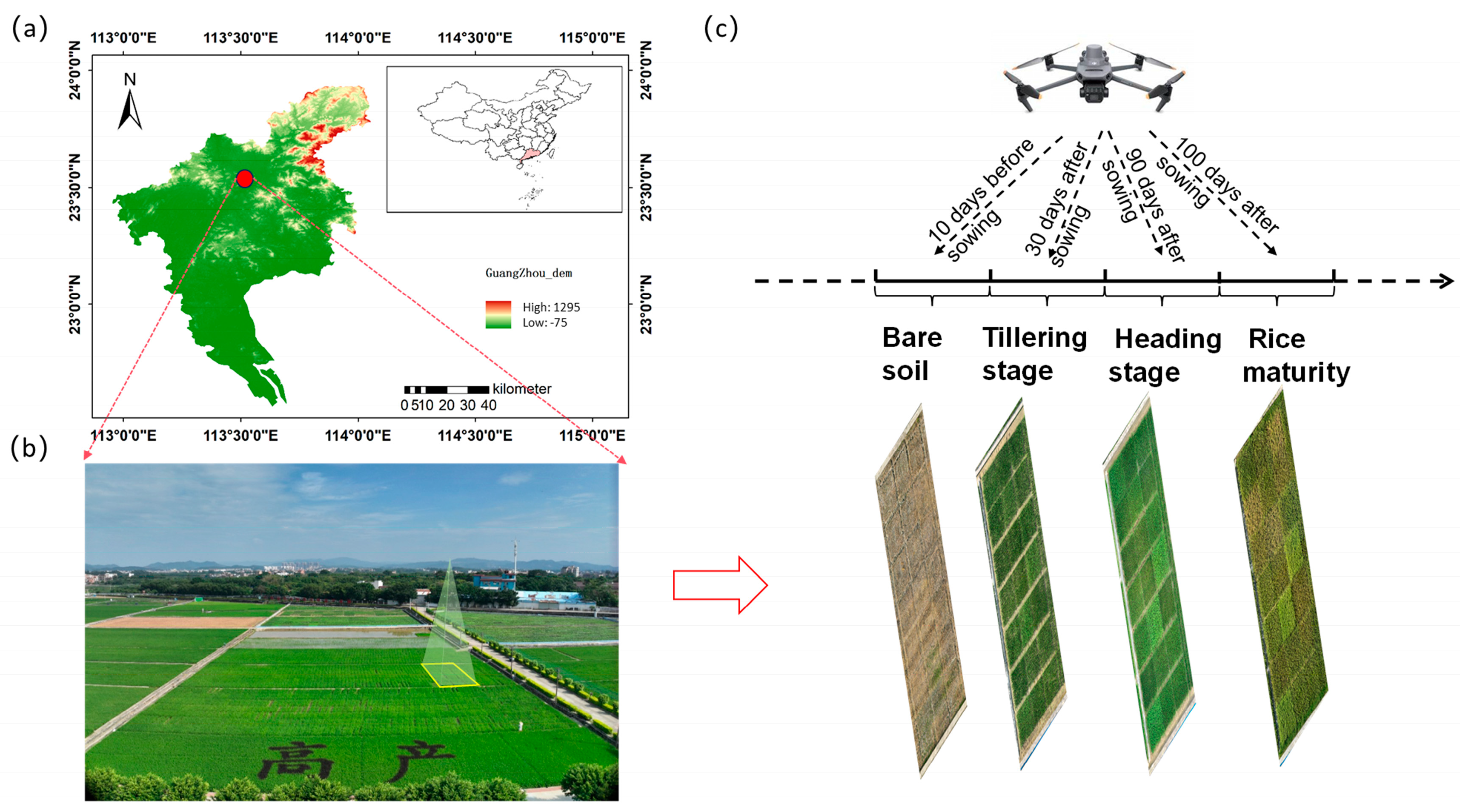 Agriculture 15 00971 g001