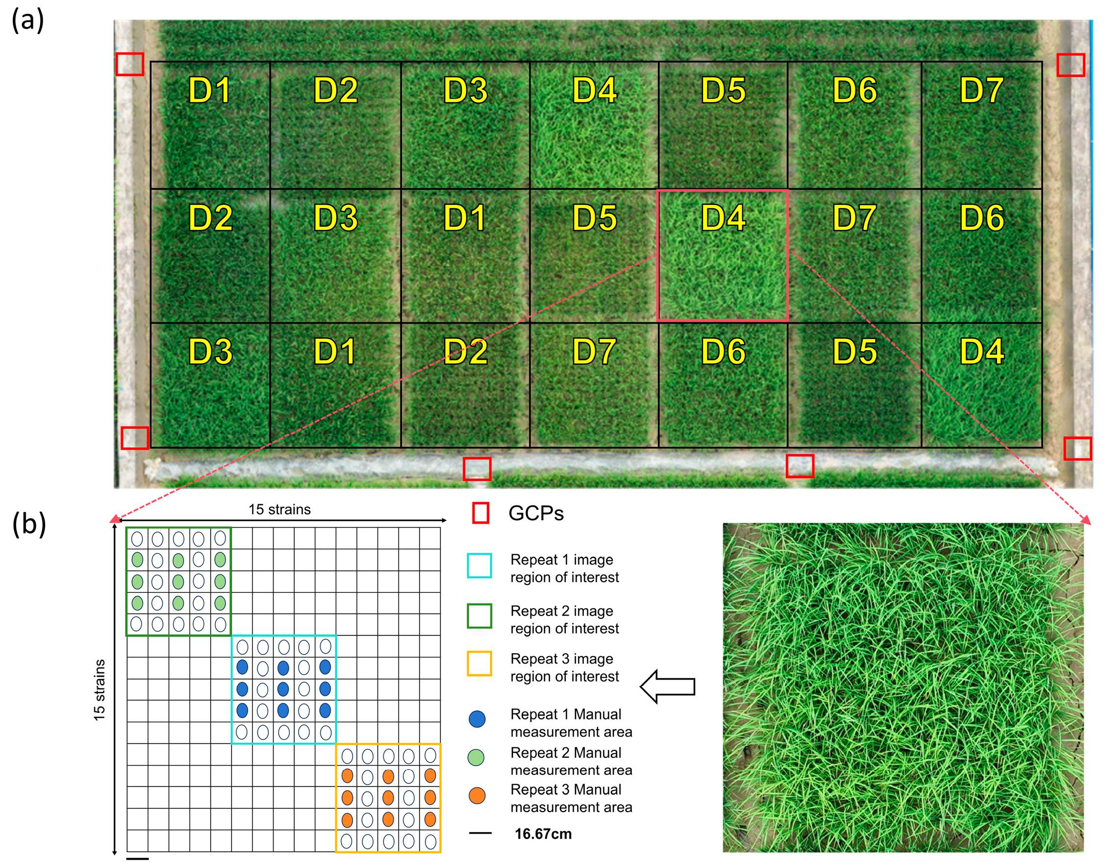 Agriculture 15 00971 g002