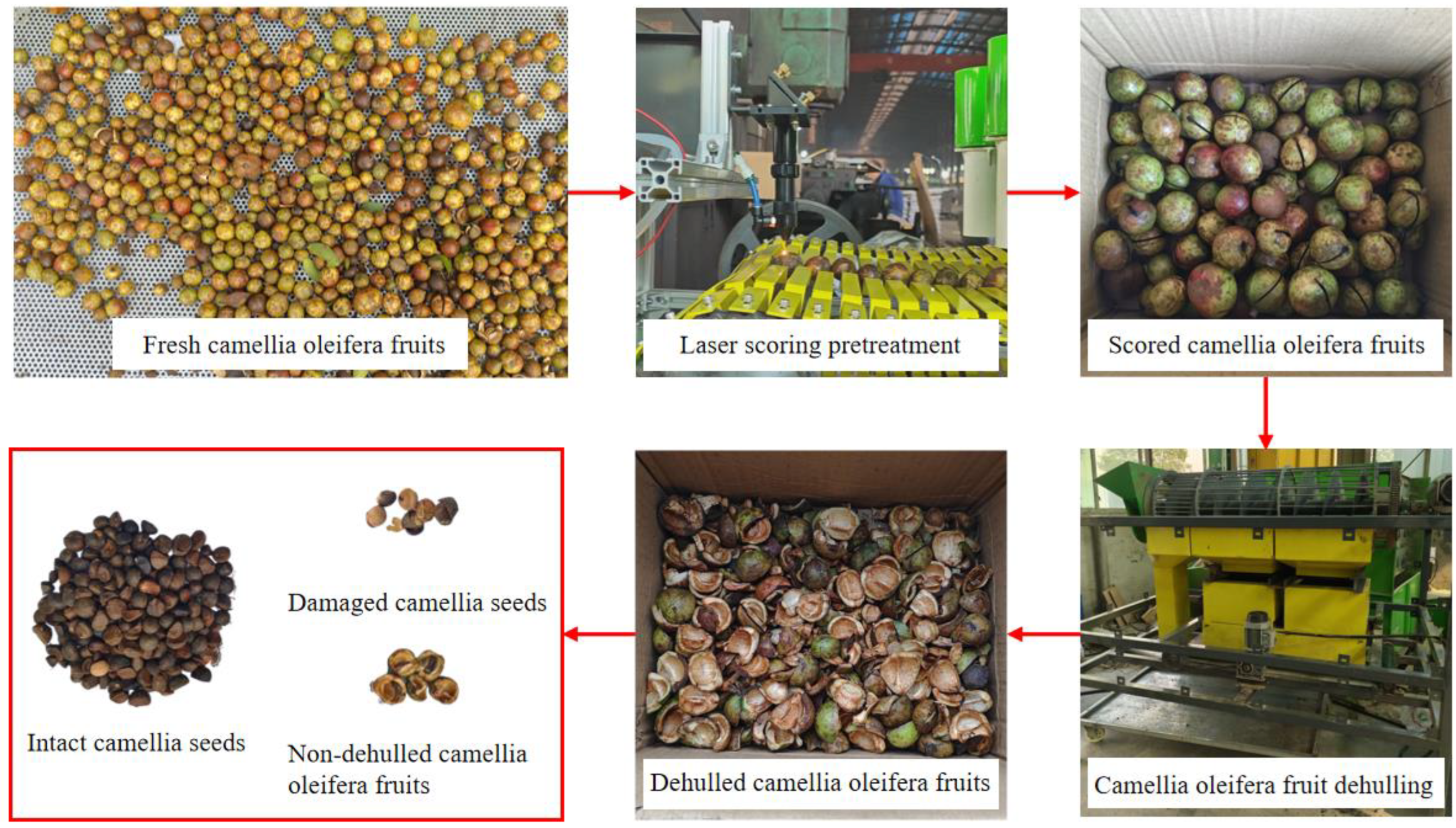 Agriculture 15 00987 g008