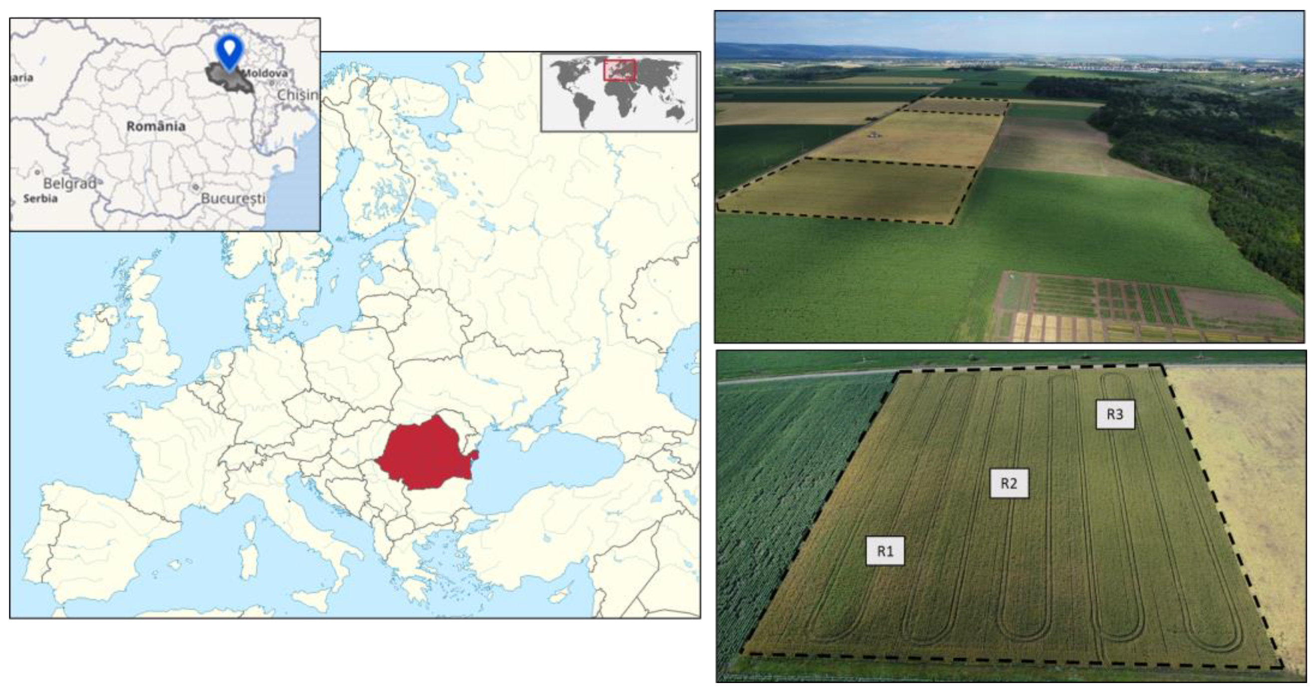 Agriculture 15 00989 g002