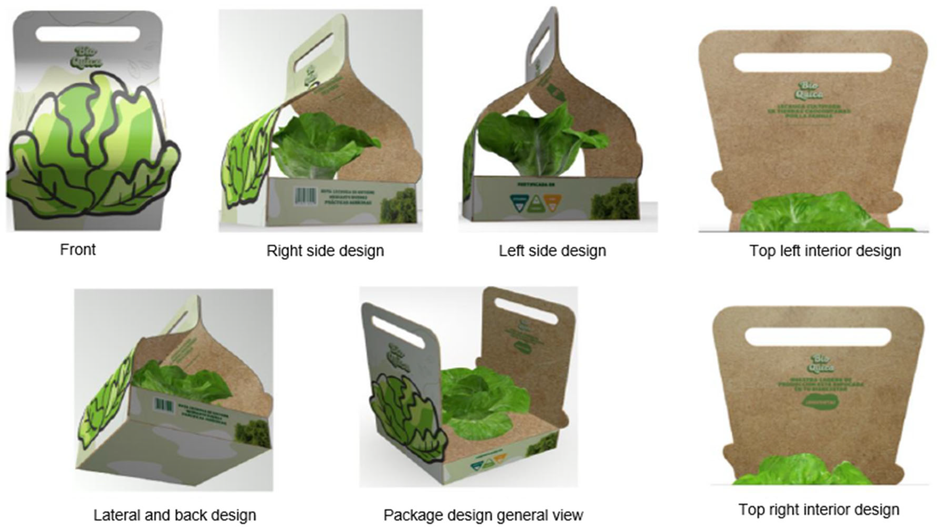 Agriculture 15 00991 g005