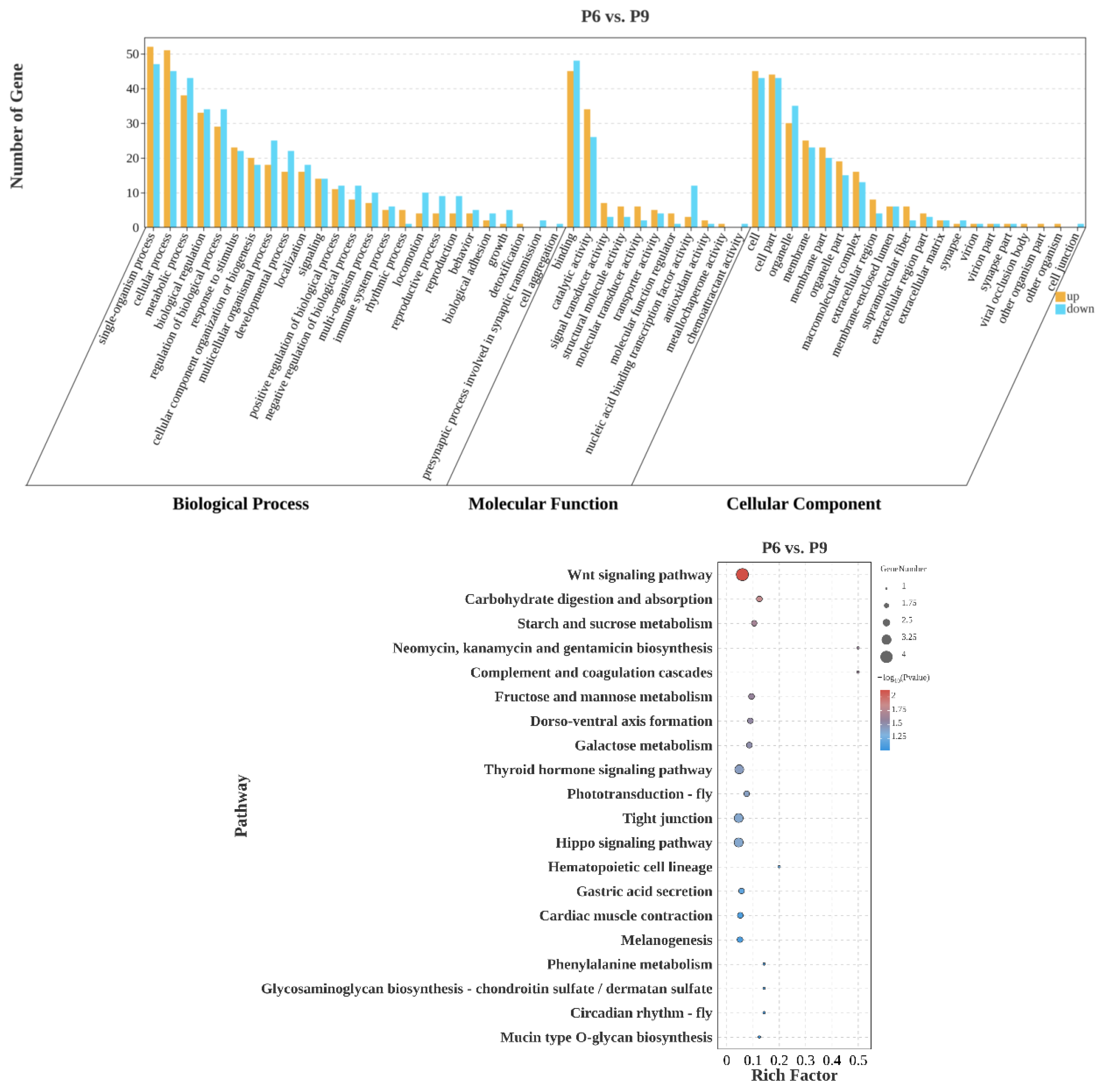 Agriculture 15 00992 g010