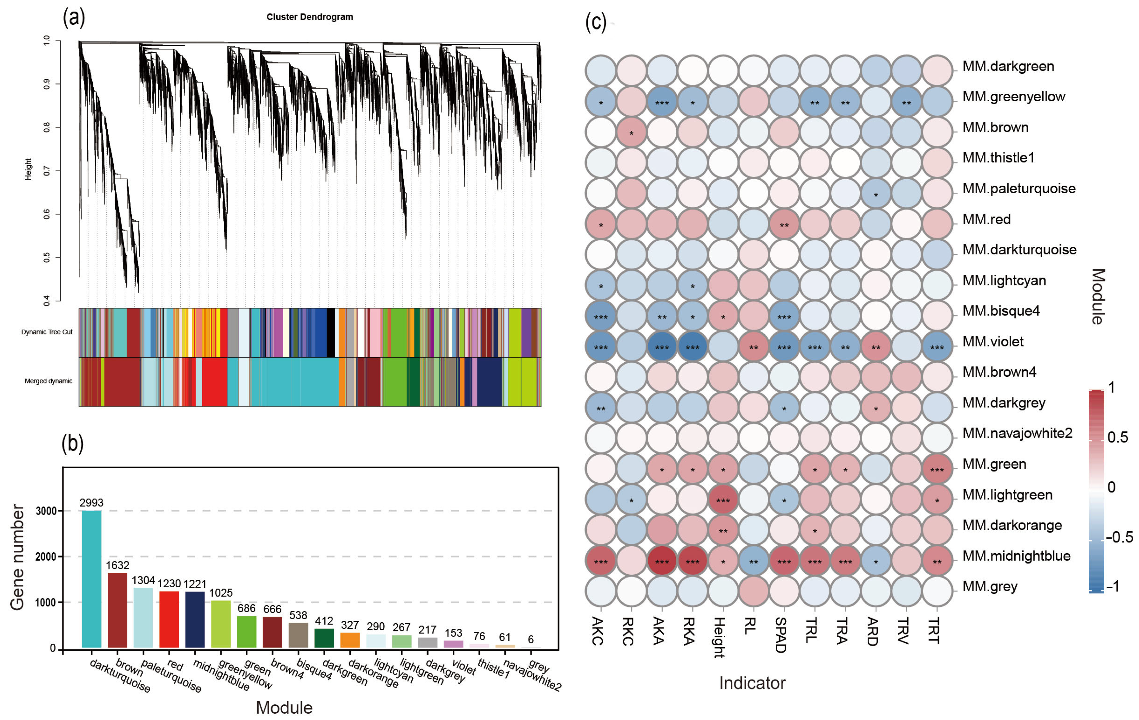 Agriculture 15 00993 g004