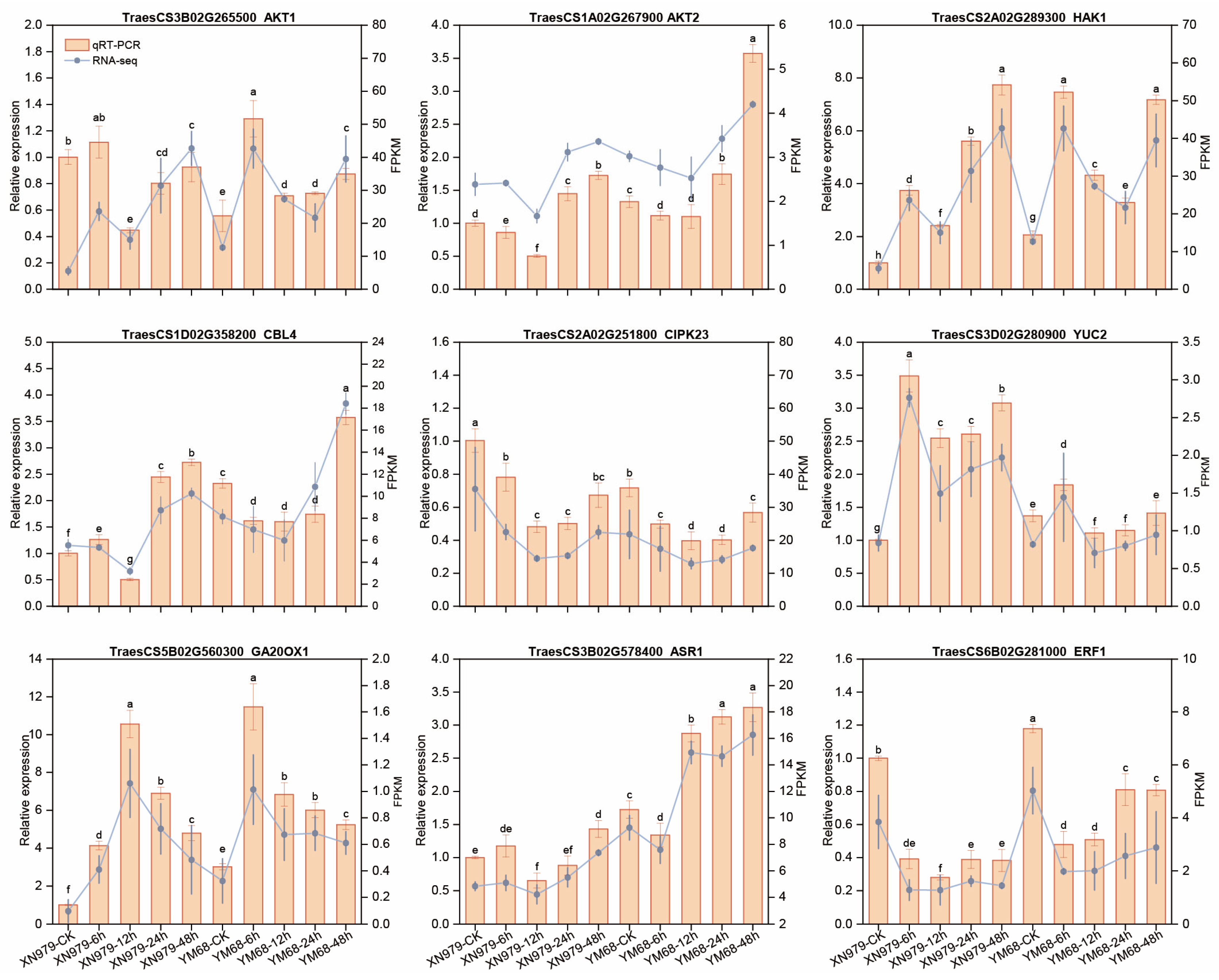 Agriculture 15 00993 g008