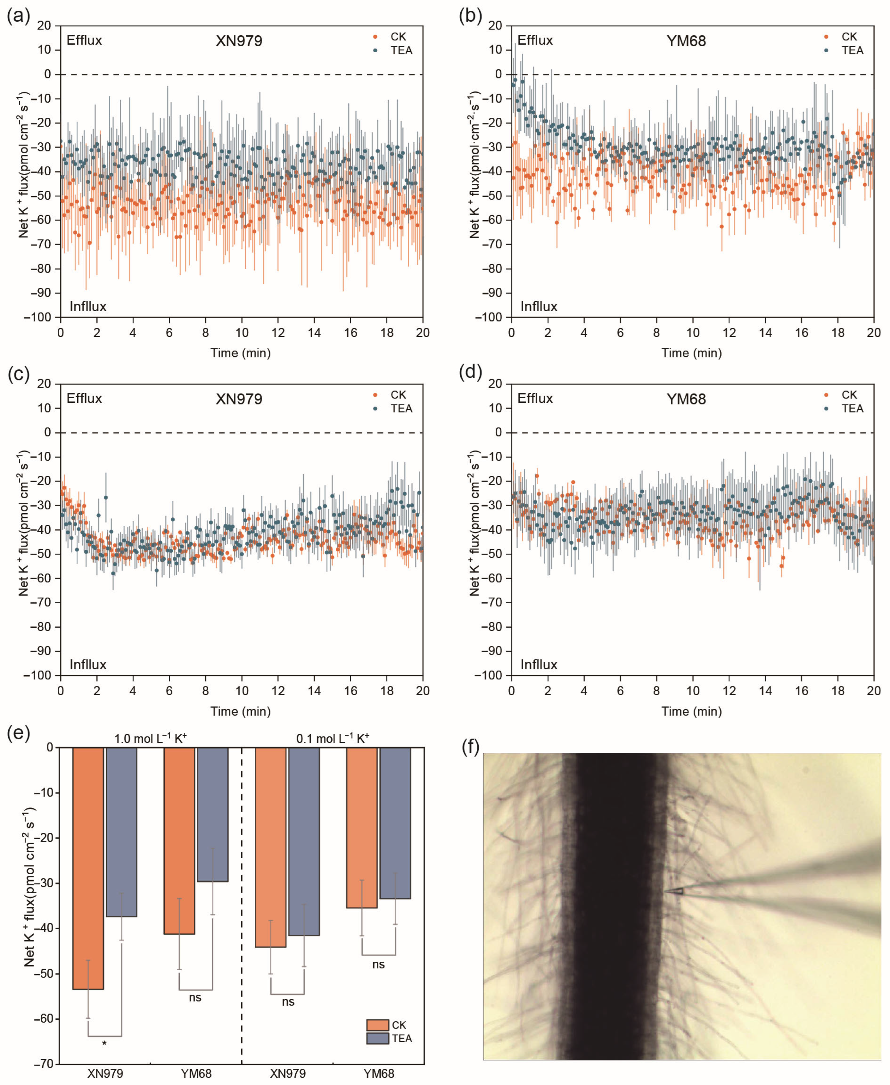 Agriculture 15 00993 g009