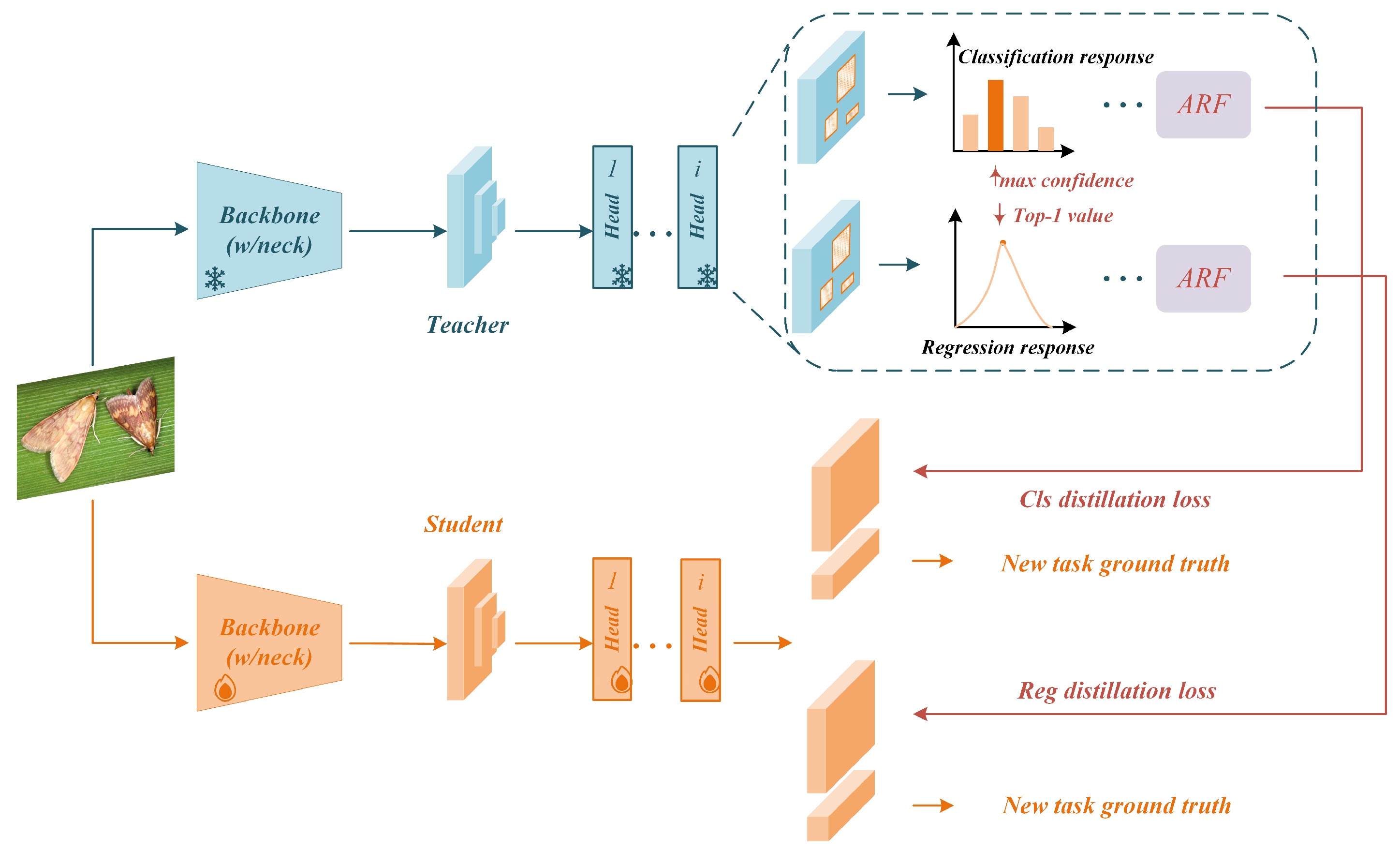 Agriculture 15 01006 g003