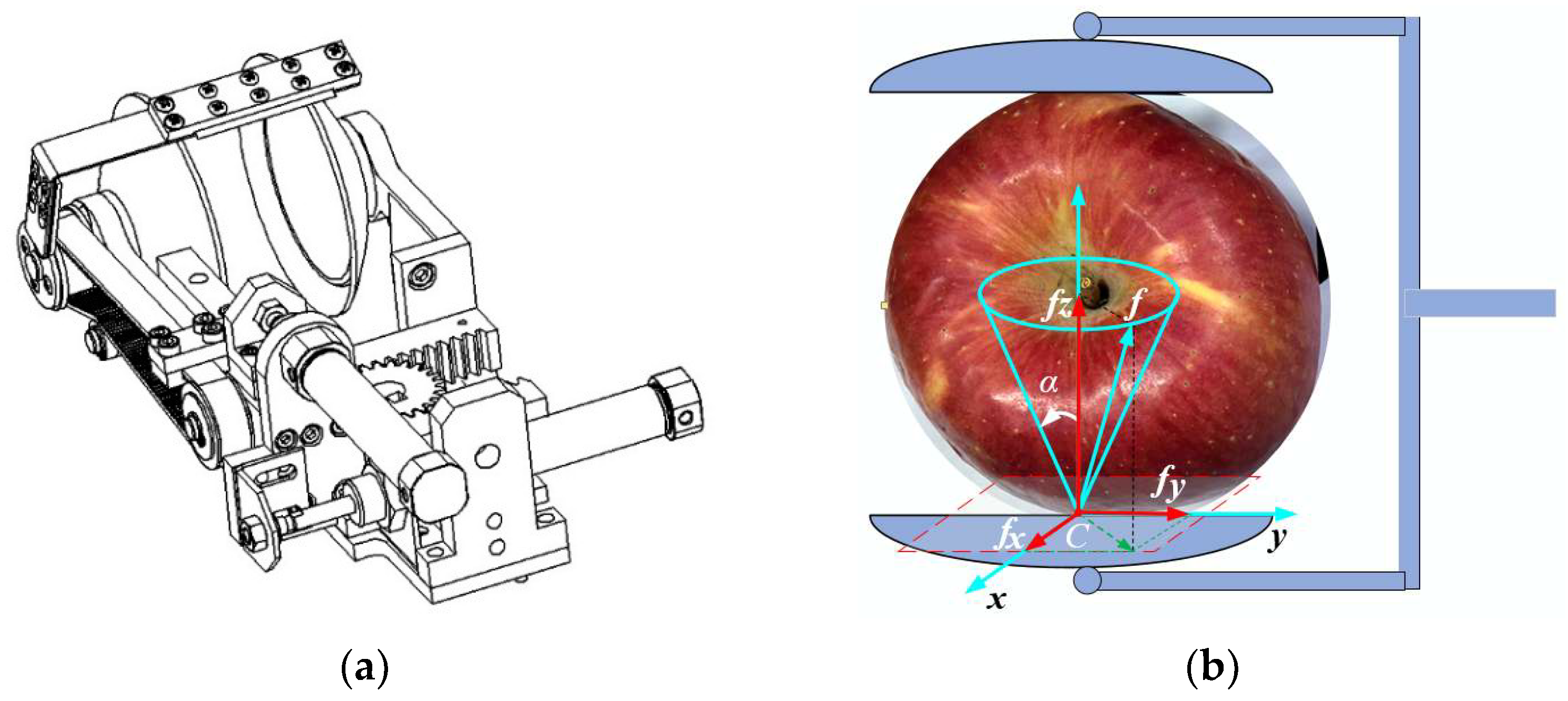 Agriculture 15 01018 g001