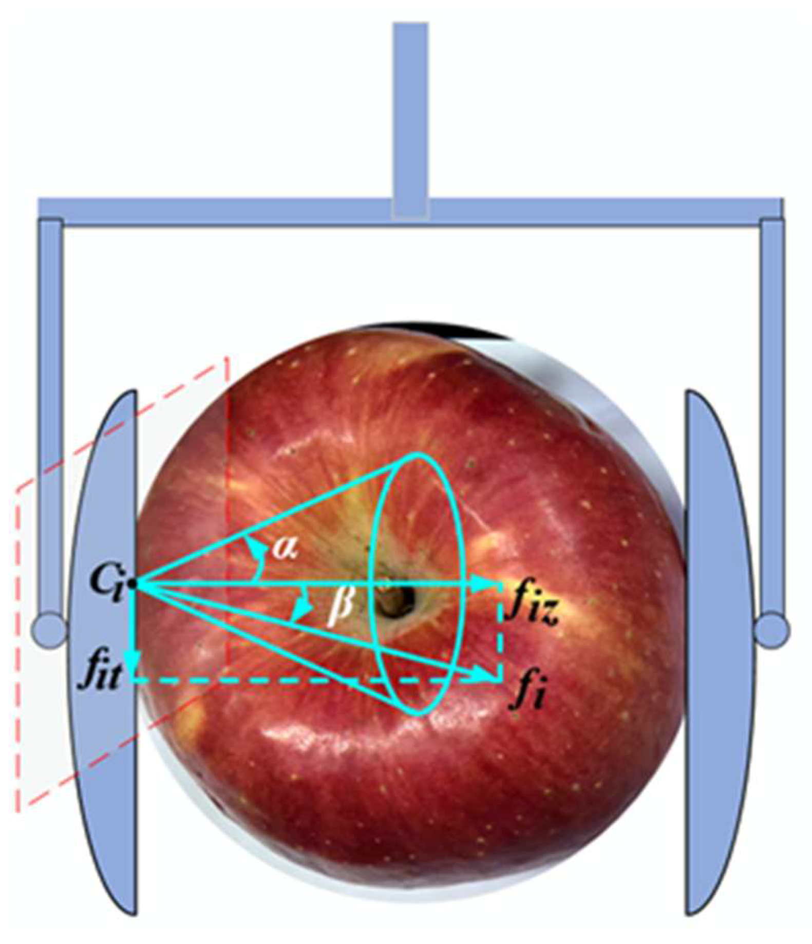 Agriculture 15 01018 g002