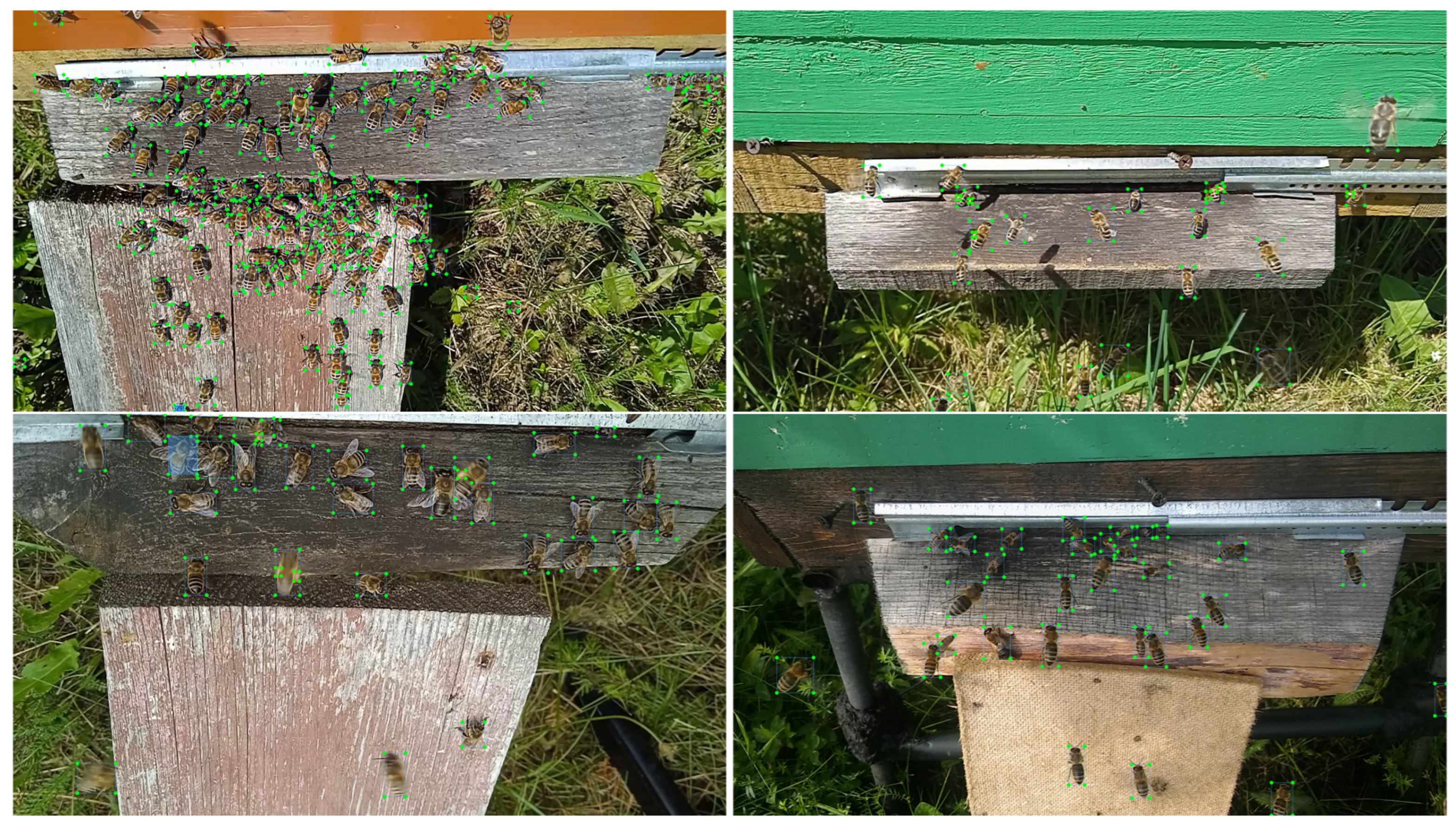 Agriculture 15 01019 g001