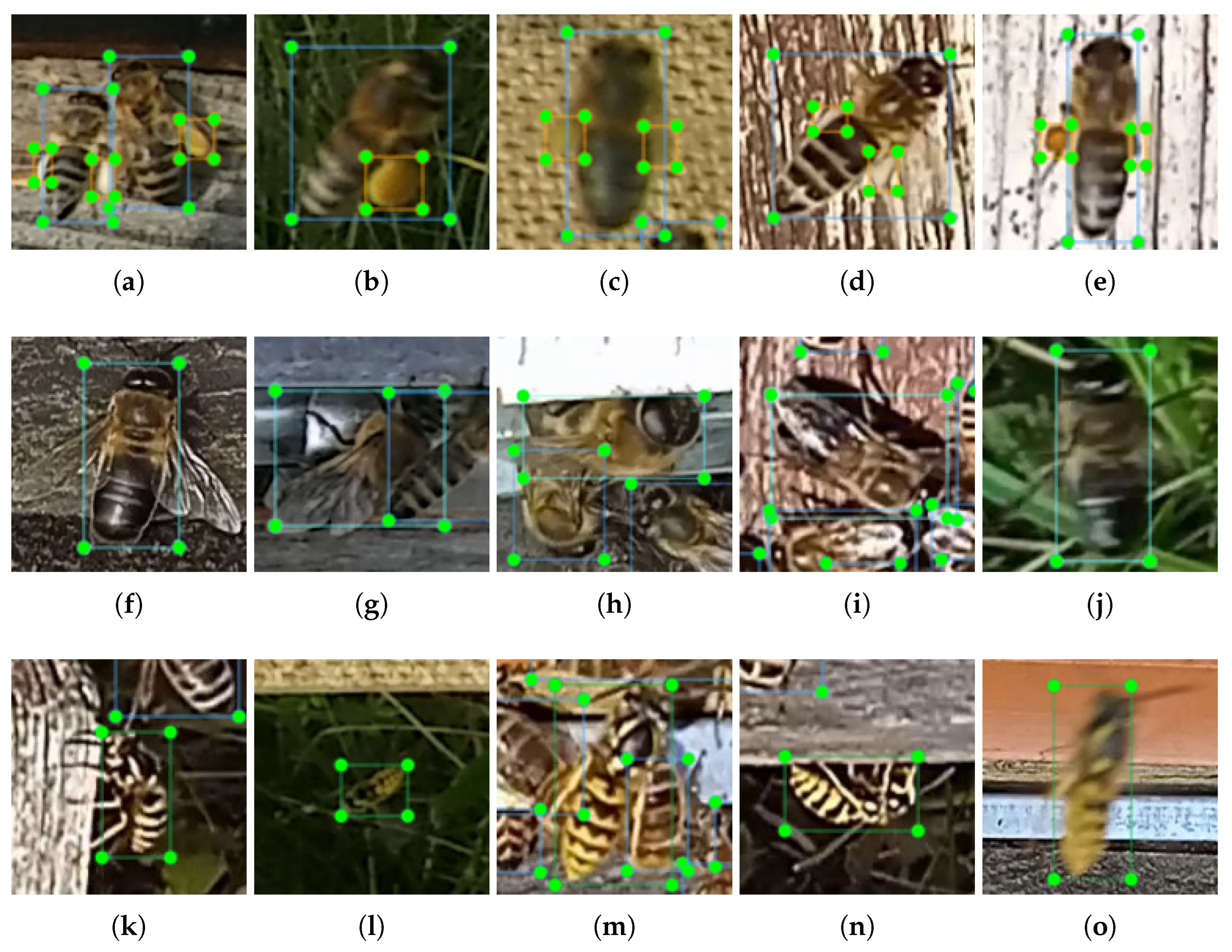 Agriculture 15 01019 g002