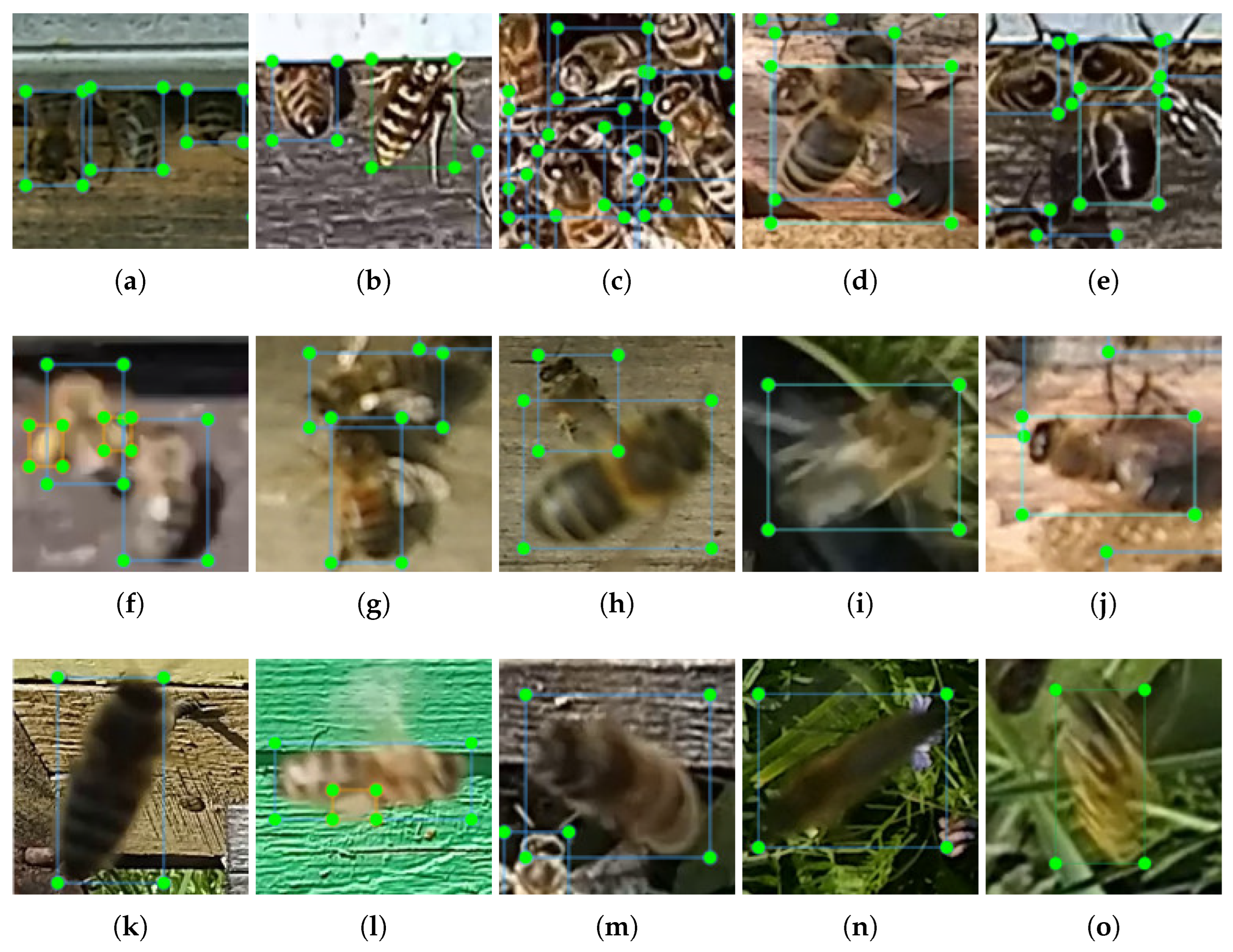 Agriculture 15 01019 g003