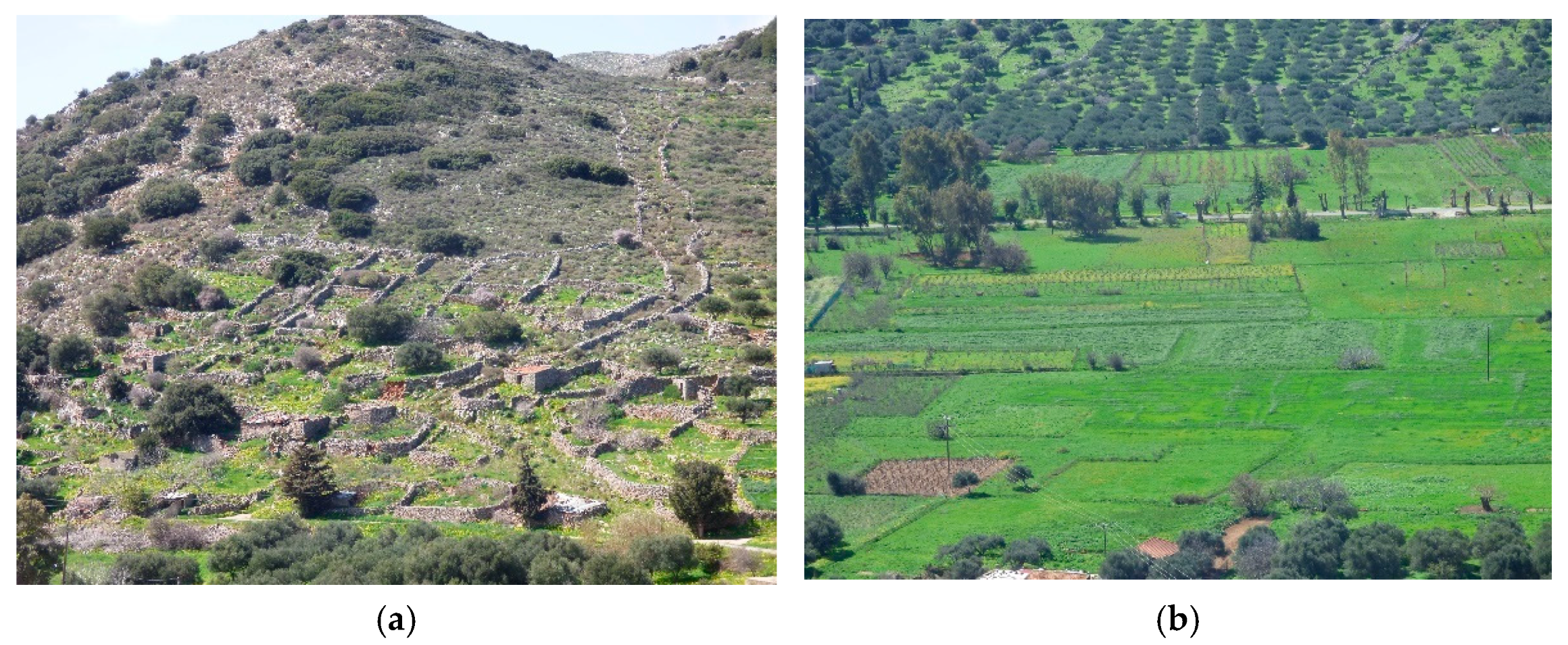 Agriculture 15 01020 g006