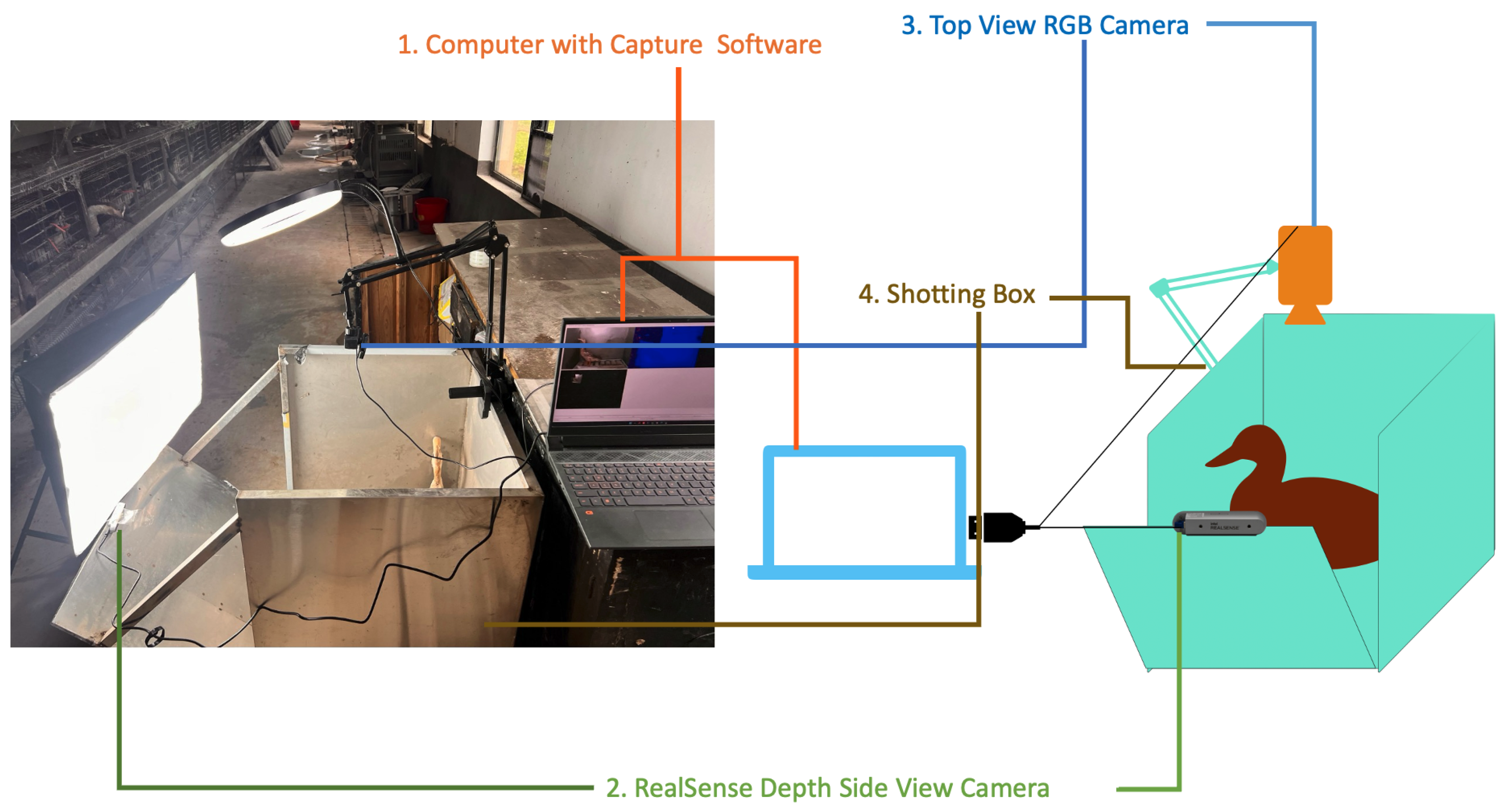 Agriculture 15 01021 g001