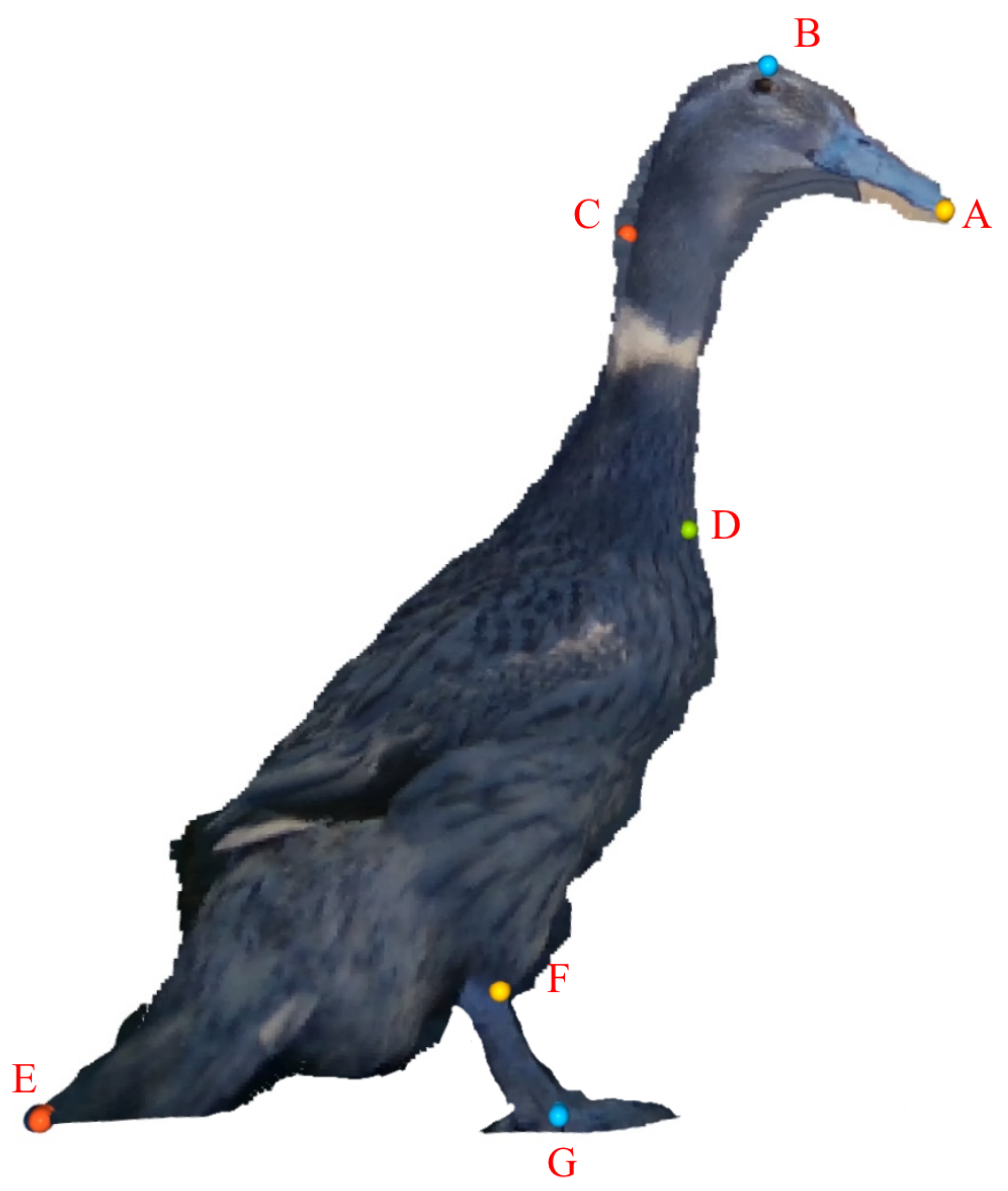 Agriculture 15 01021 g003