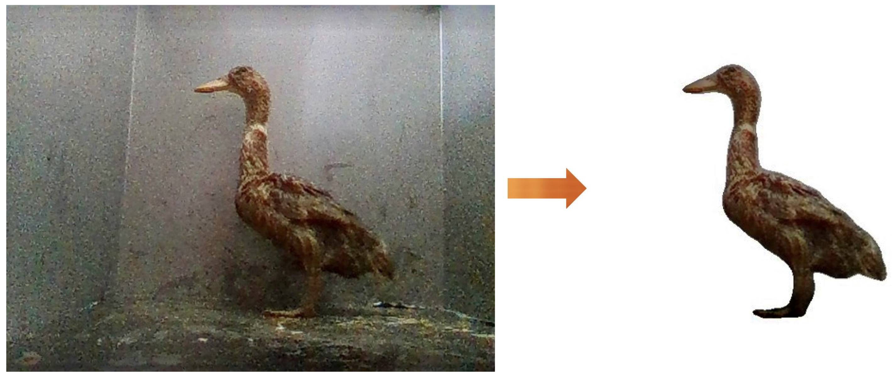 Agriculture 15 01021 g005