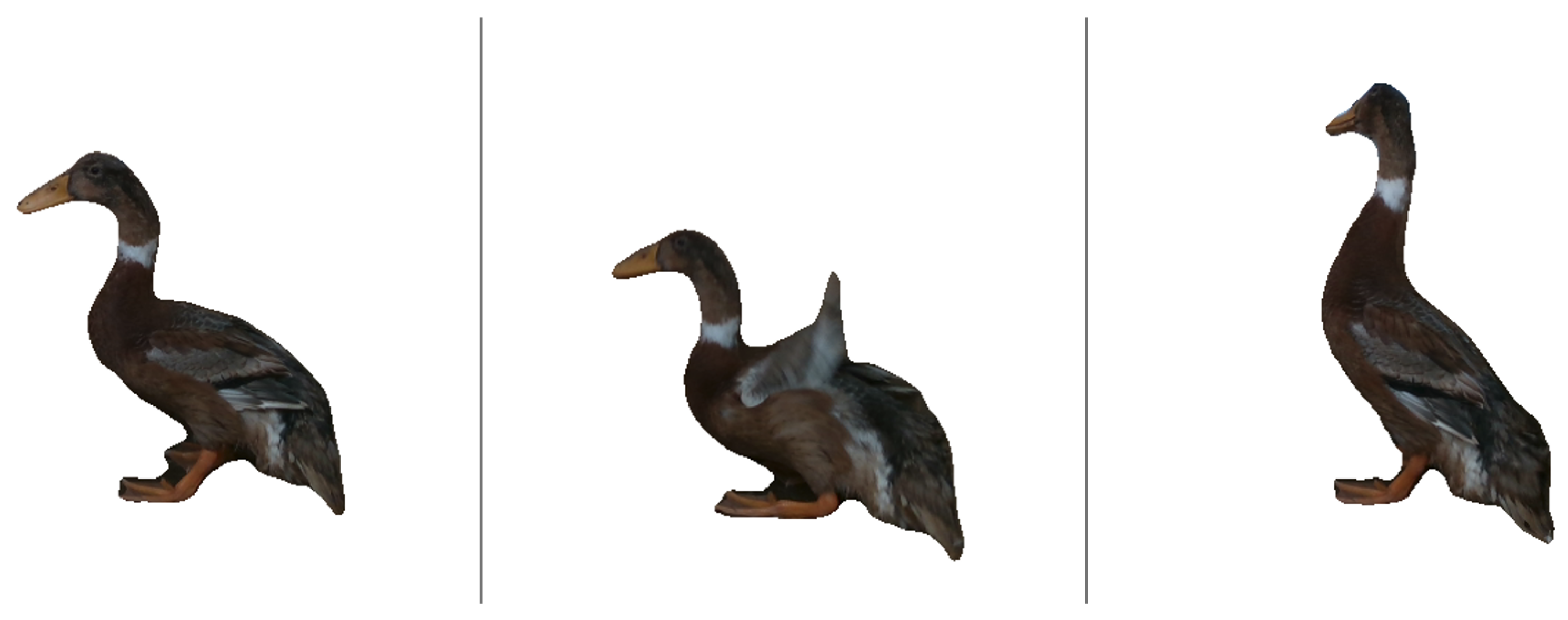 Agriculture 15 01021 g007