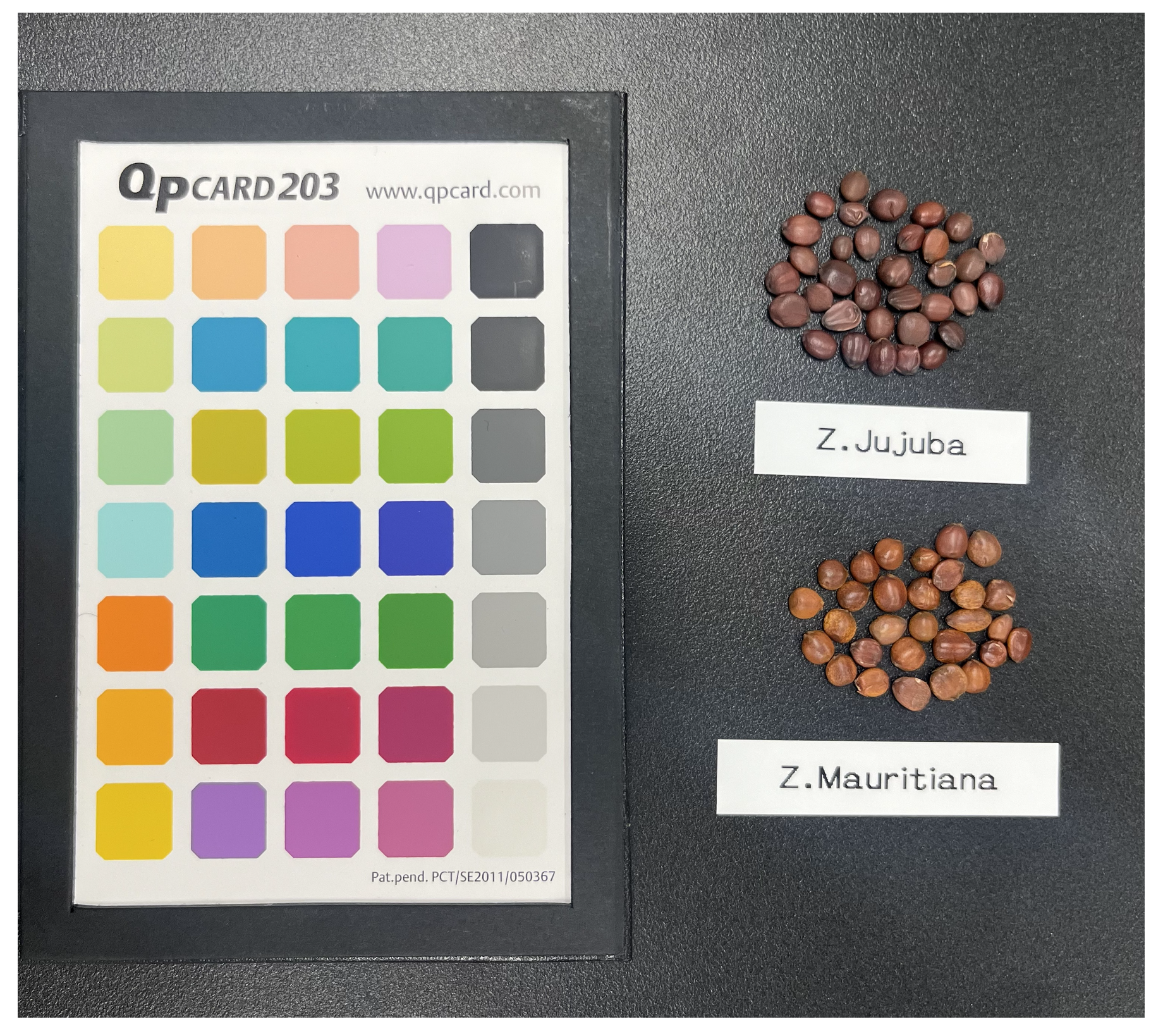 Agriculture 15 01022 g002