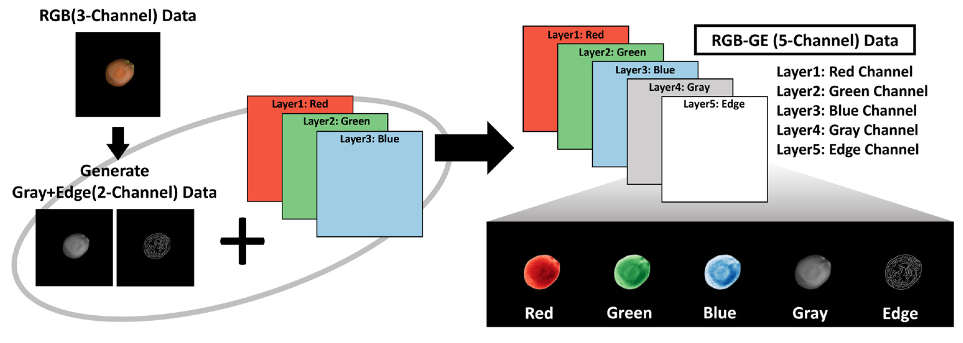 Agriculture 15 01022 g005