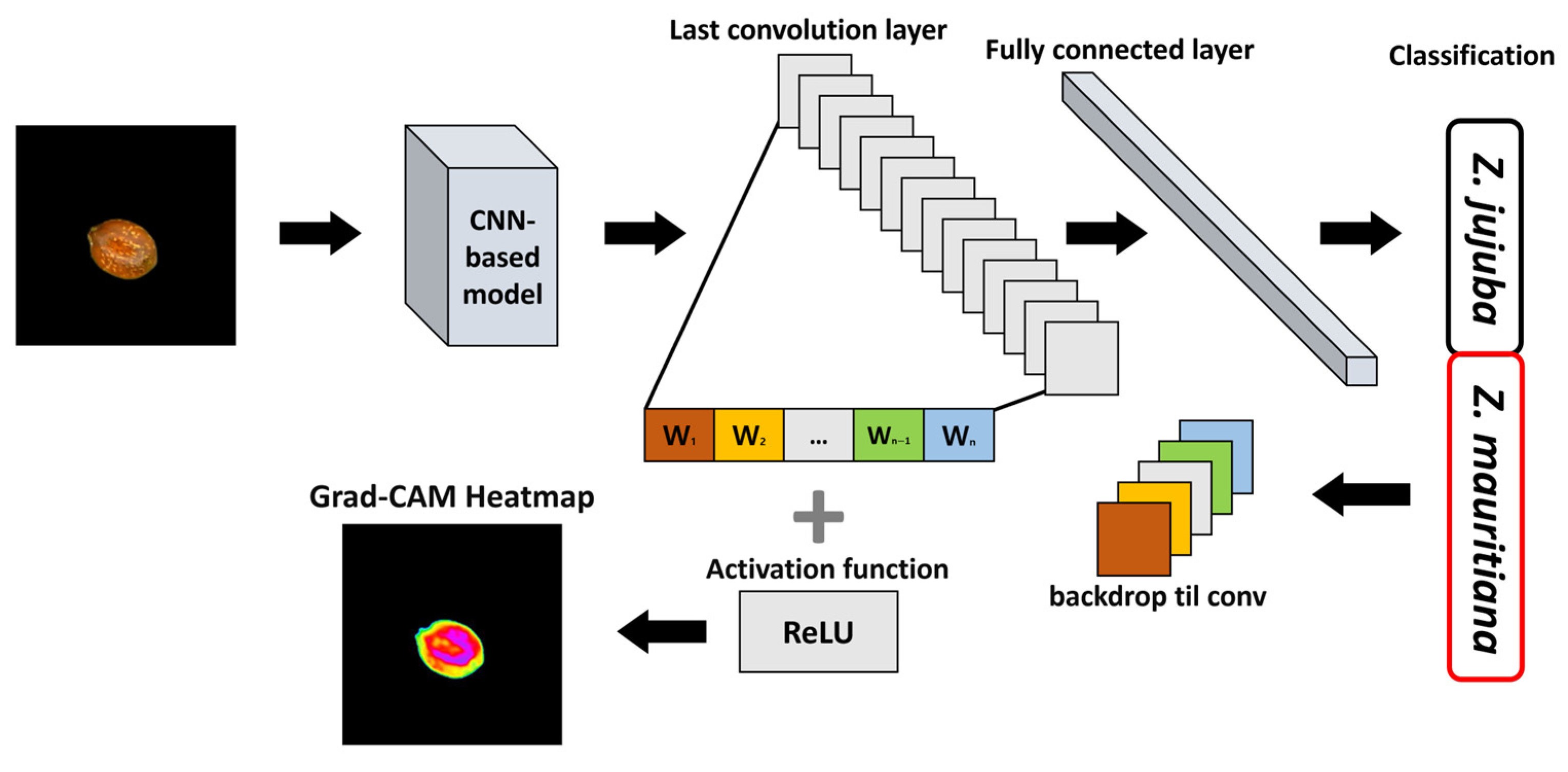 Agriculture 15 01022 g007