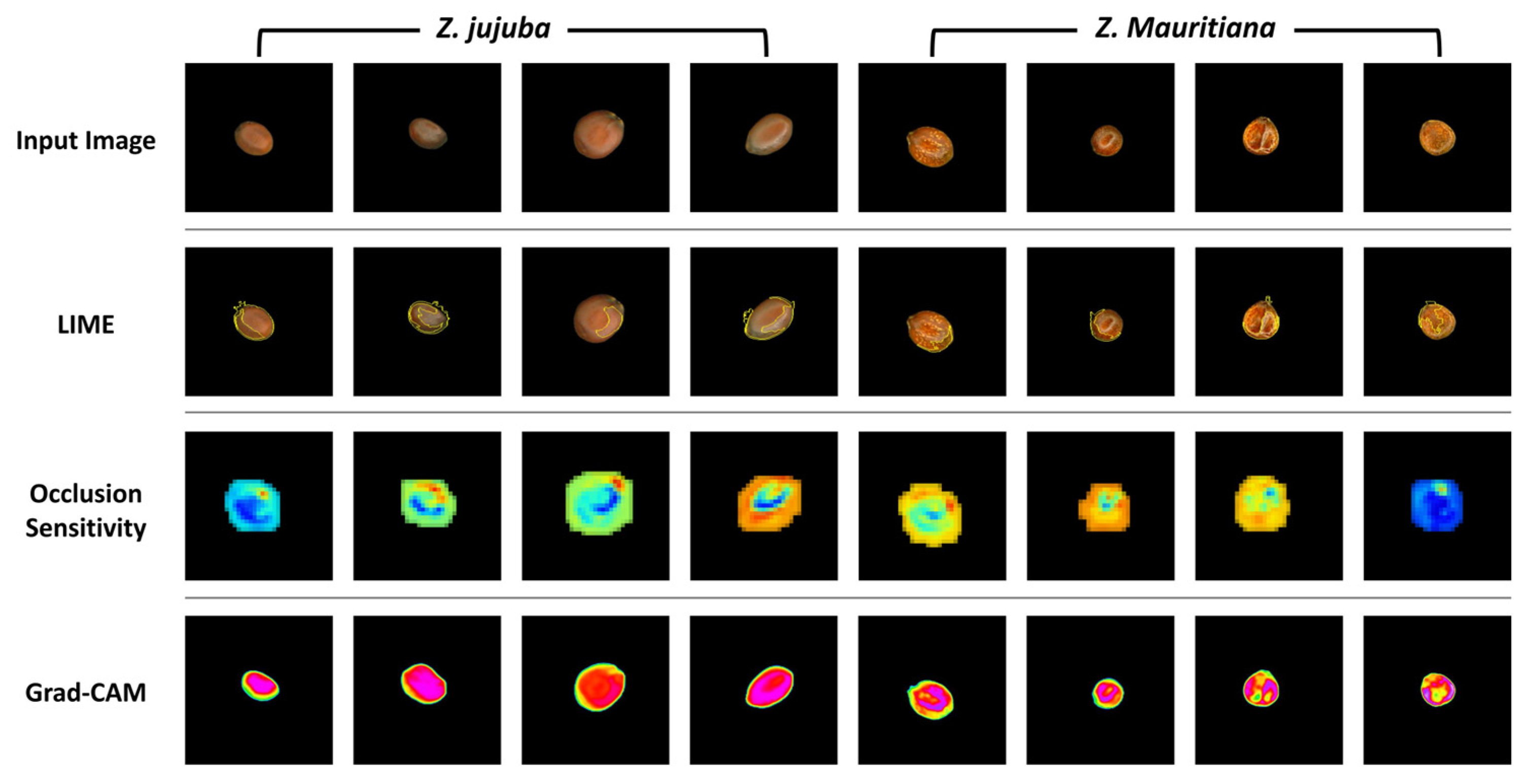 Agriculture 15 01022 g011