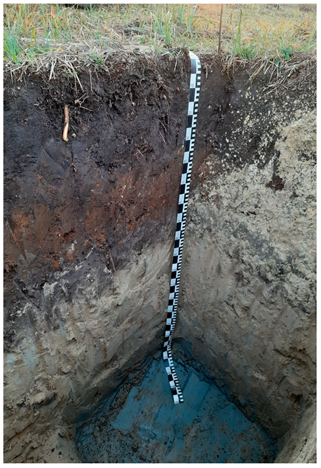 Agriculture 15 01030 i003