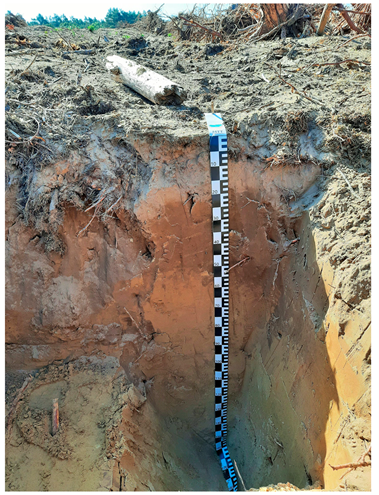 Agriculture 15 01030 i005