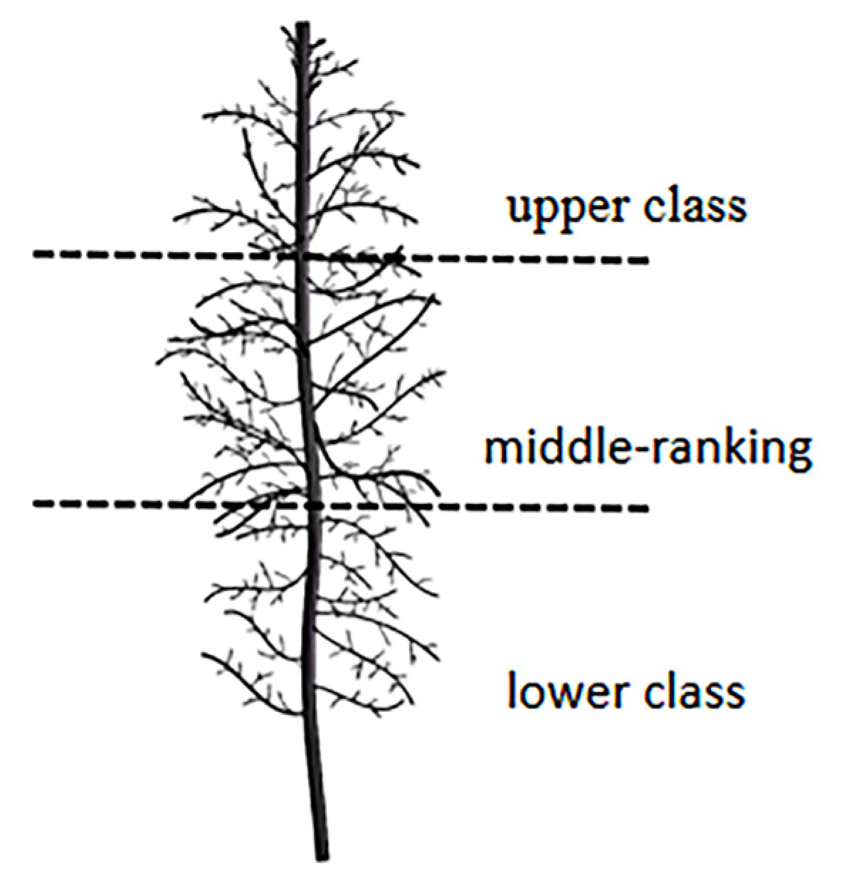 Agriculture 15 01031 g002