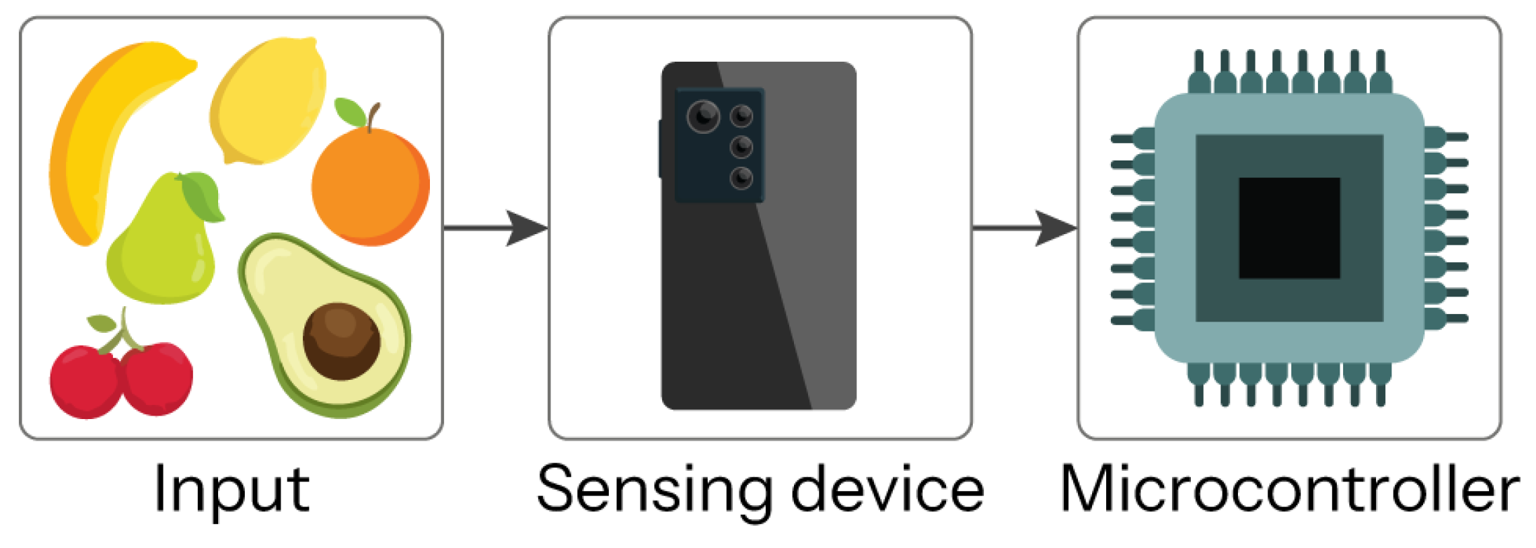 Agriculture 15 01032 g001