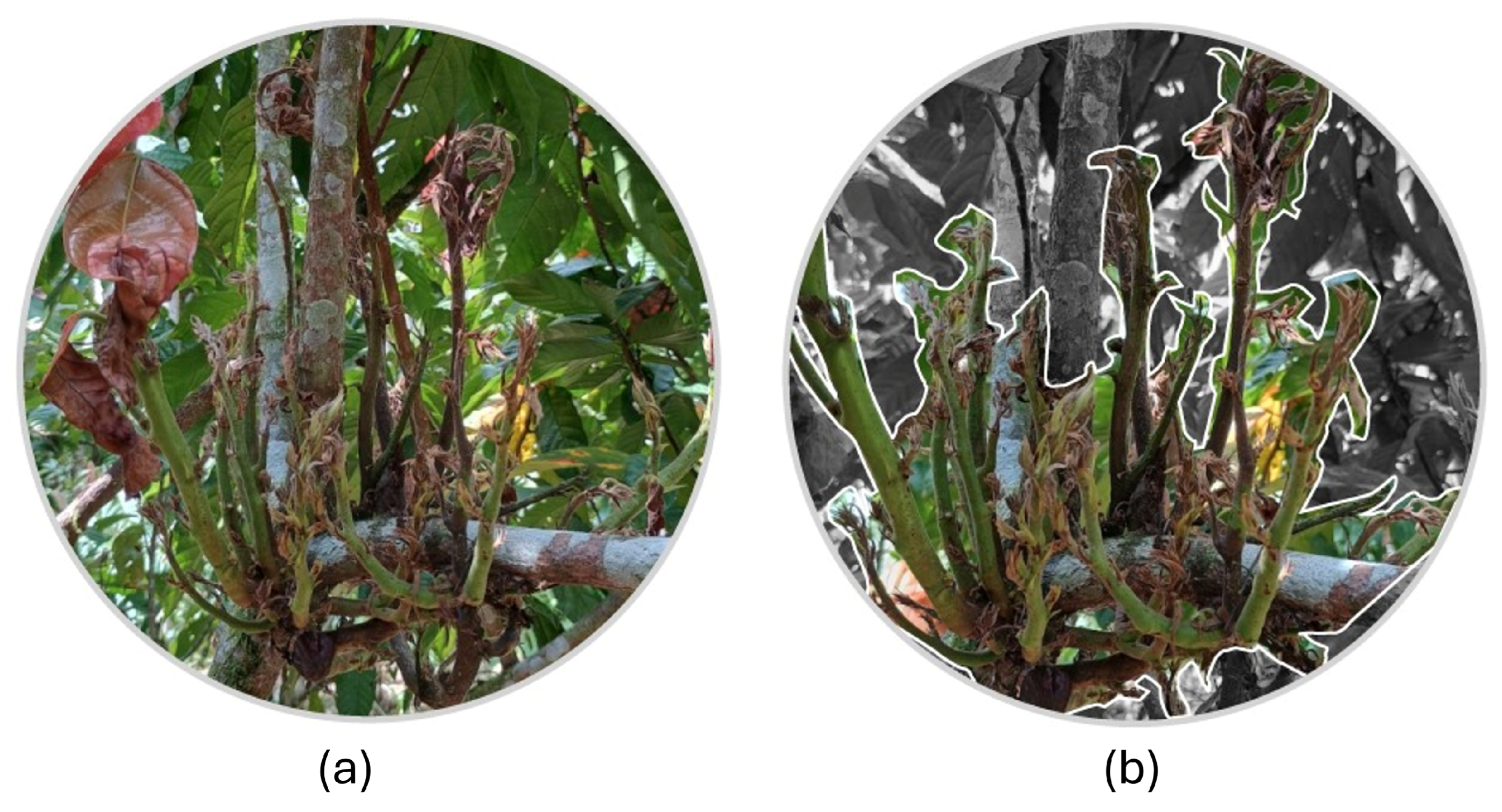 Agriculture 15 01032 g008