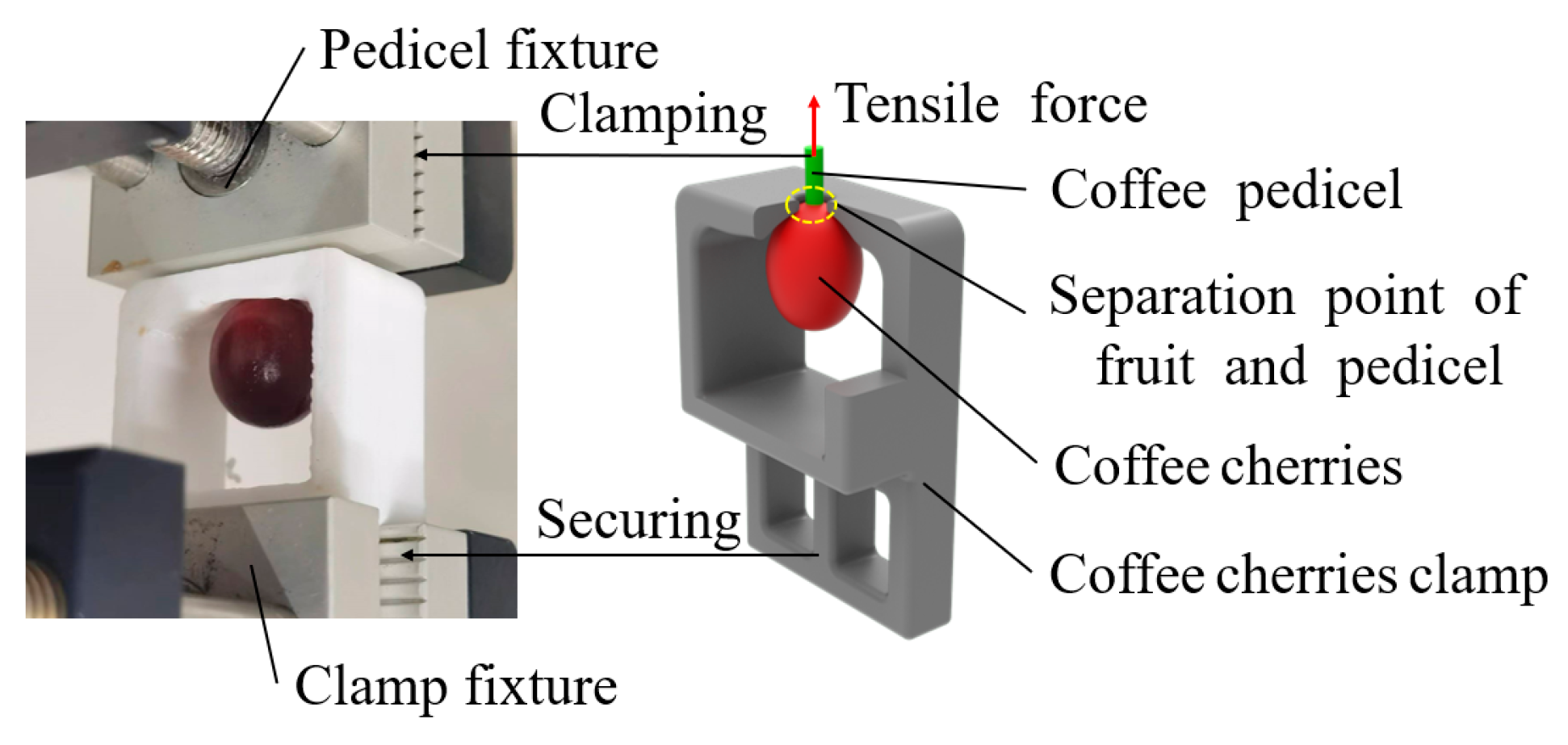 Agriculture 15 01036 g005