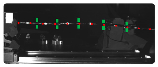 Determining the Vibration Parameters for Coffee Harvesting Through