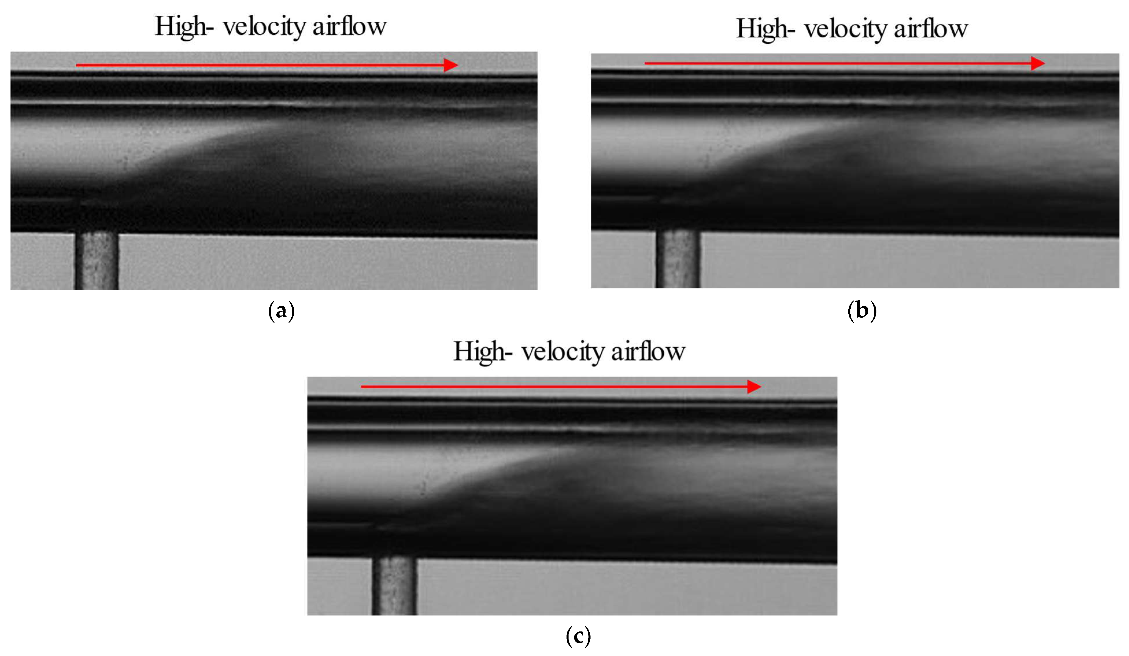Agriculture 15 01037 g007 Agriculture 15 01037 g007