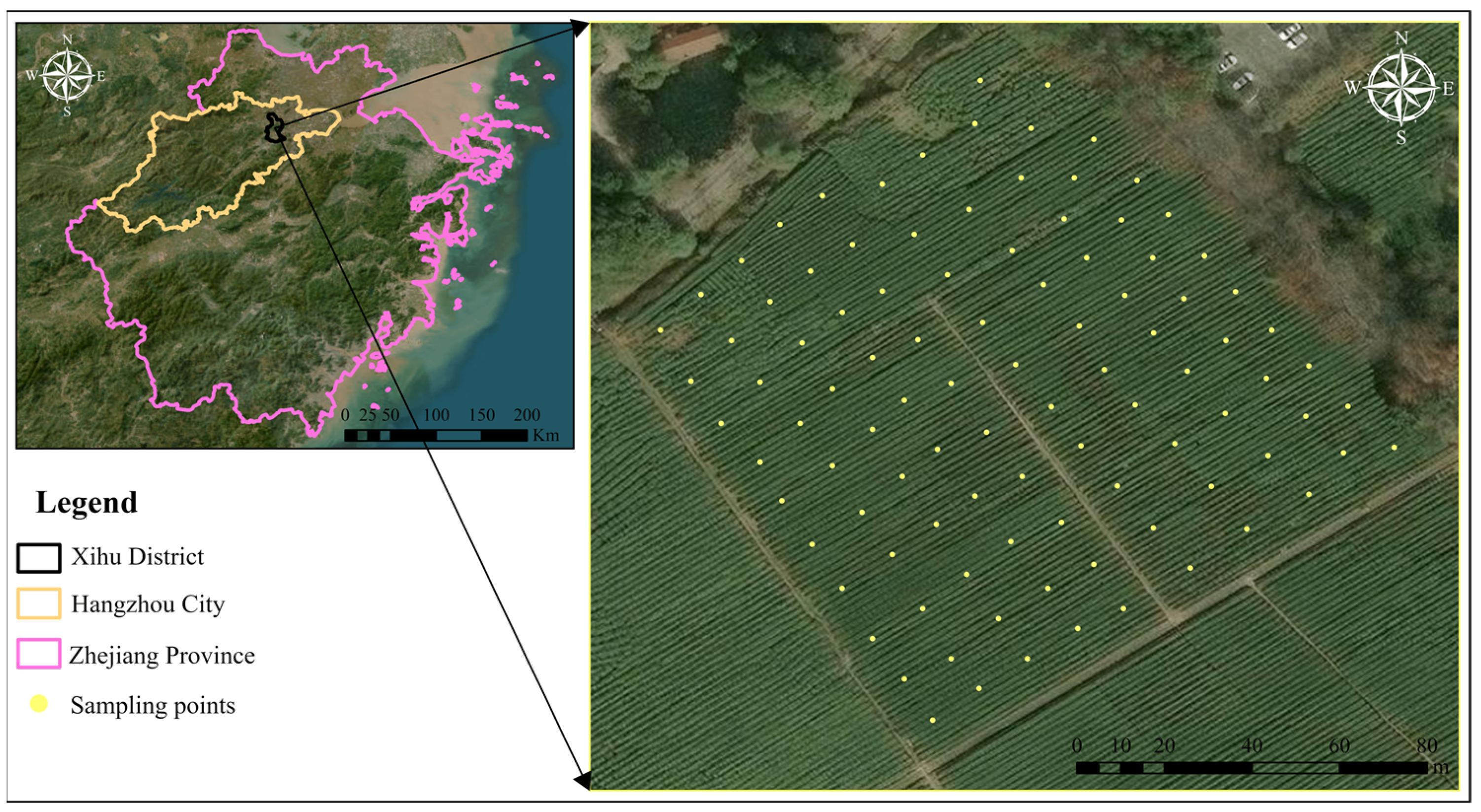 Agriculture 15 01039 g001