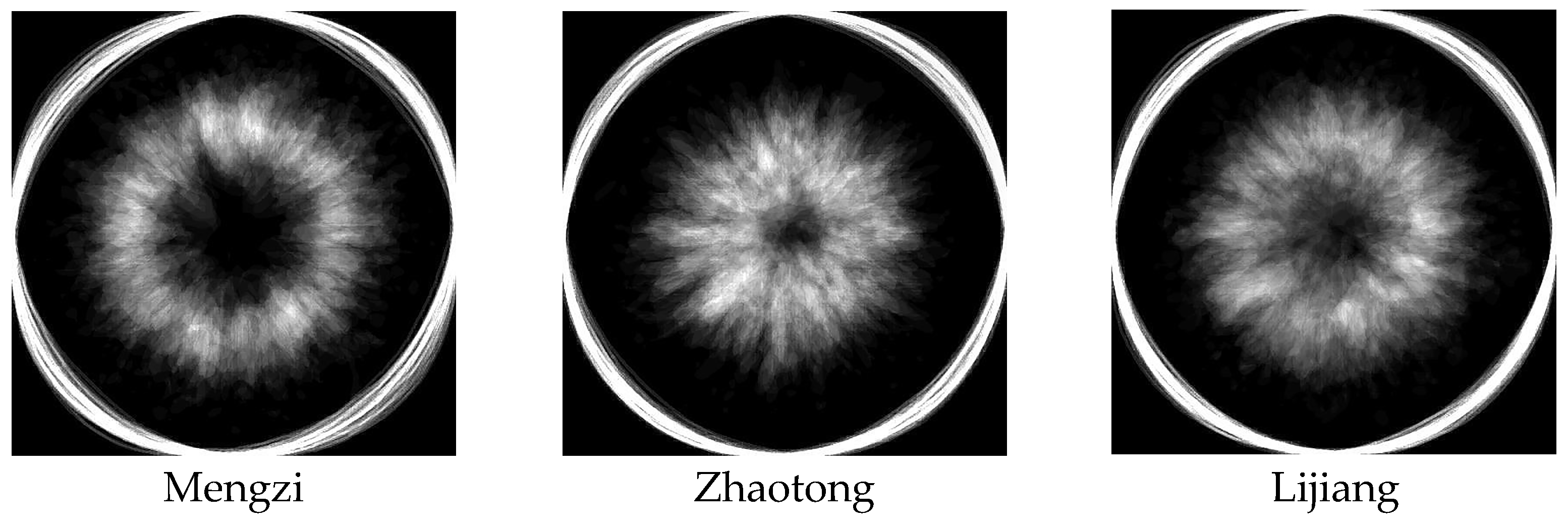 Agriculture 15 01040 g013