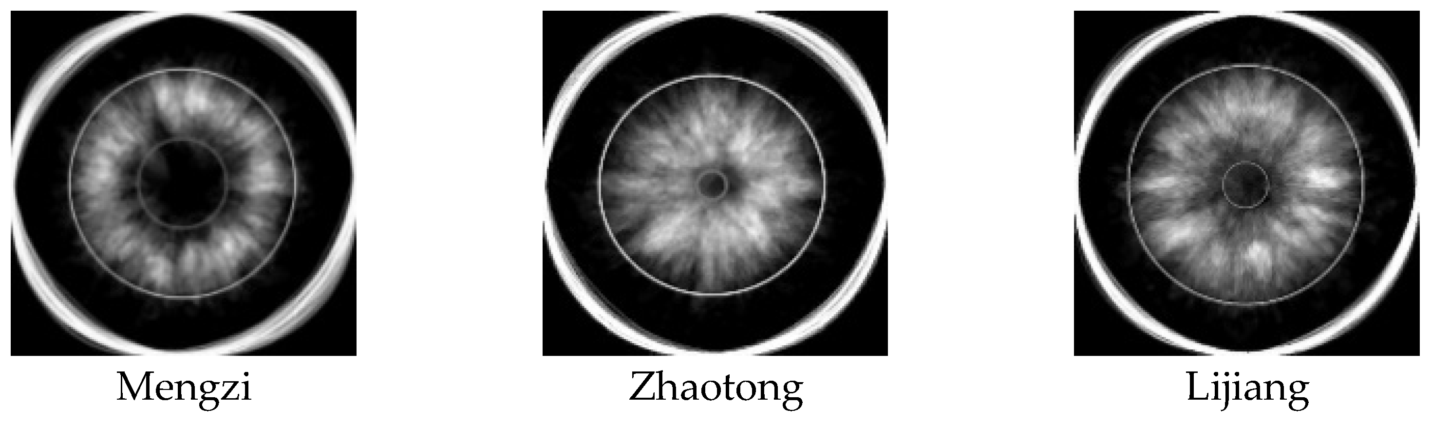 Agriculture 15 01040 g015