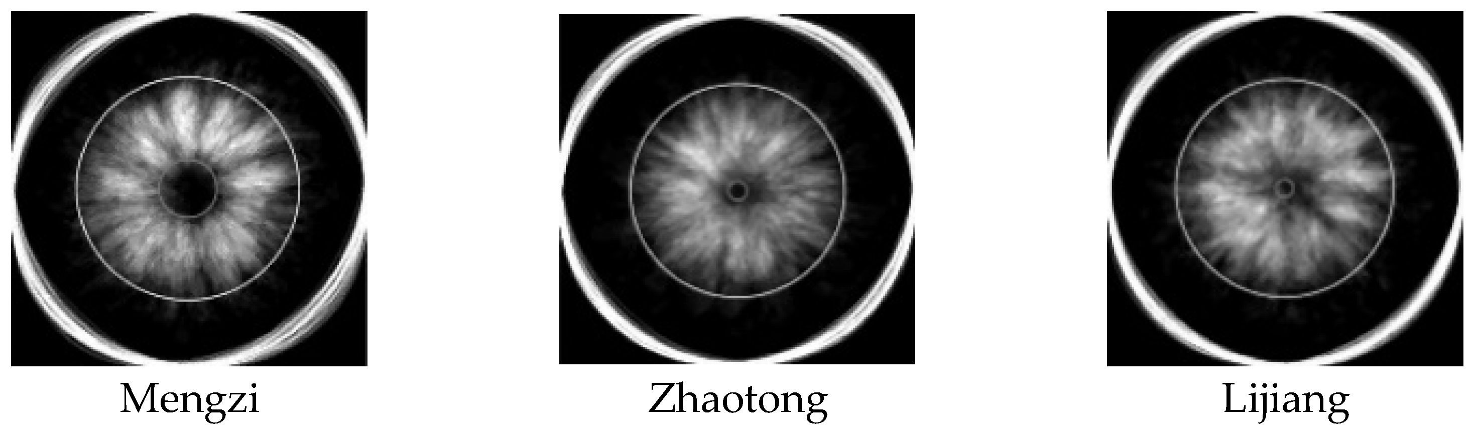 Agriculture 15 01040 g016